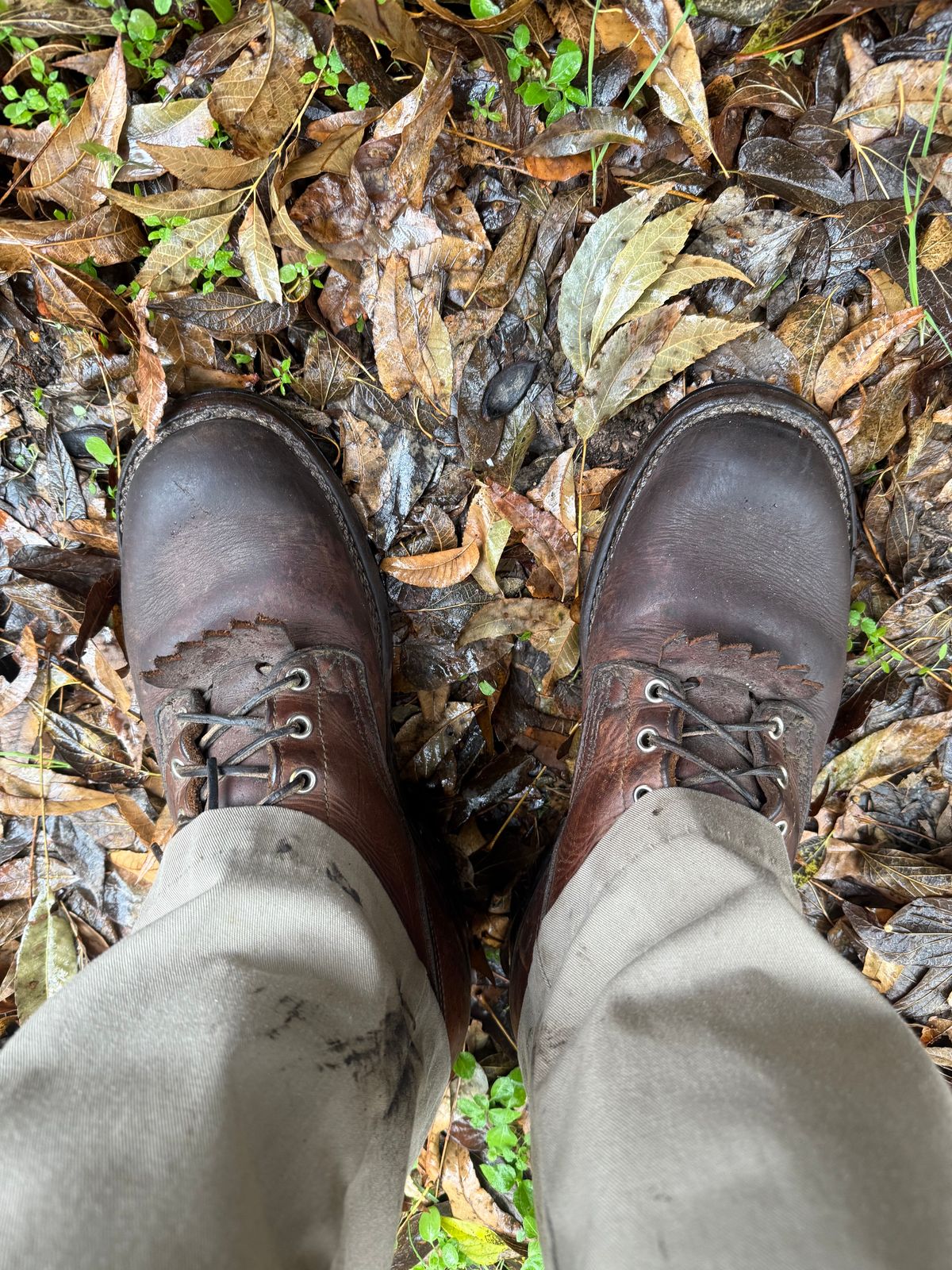 Photo by ludwigvan88 on December 4, 2024 of the Nicks BuilderPro in Seidel 1964 Brown.