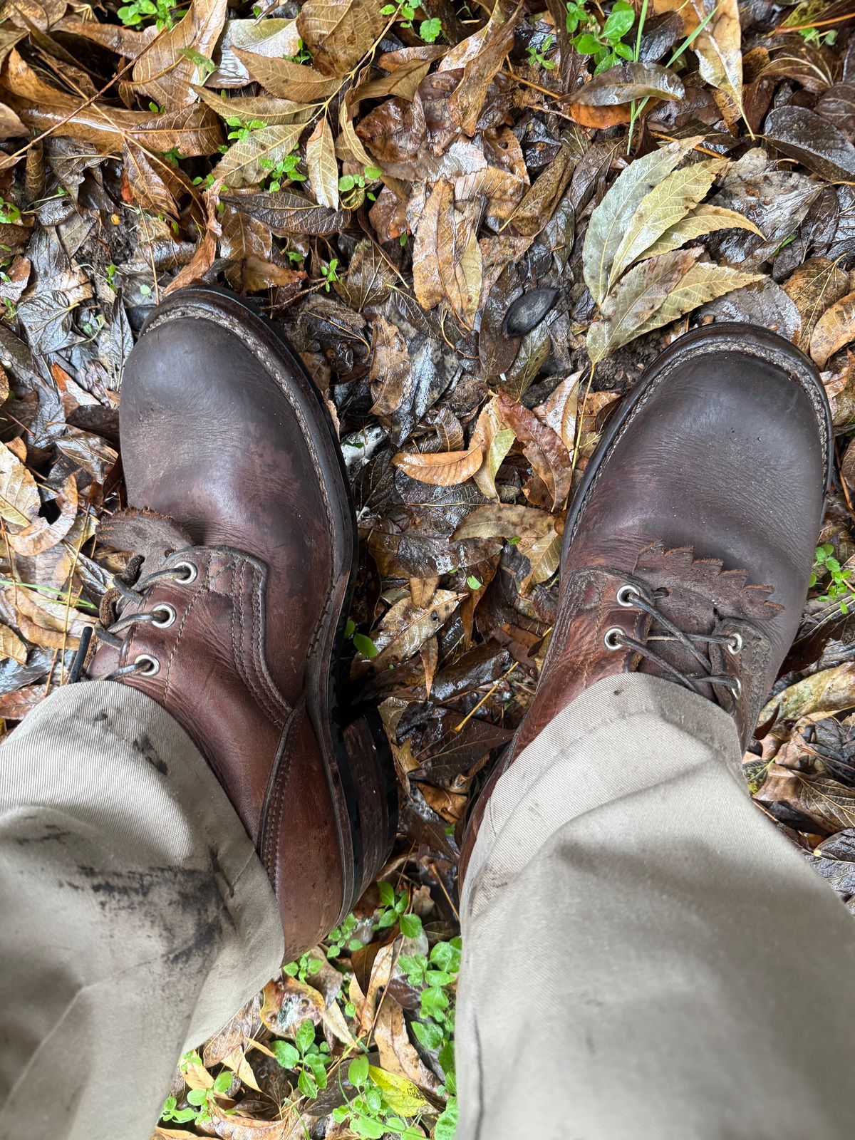 Photo by ludwigvan88 on December 4, 2024 of the Nicks BuilderPro in Seidel 1964 Brown.