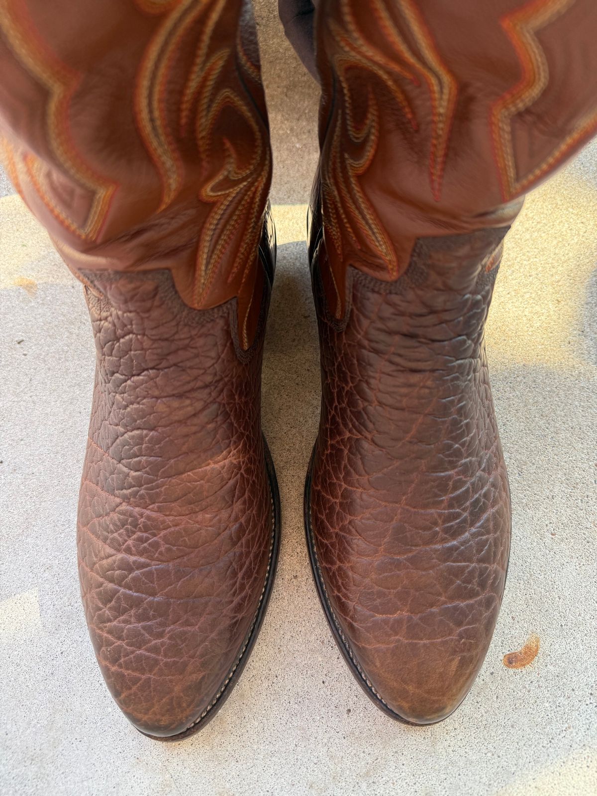 Photo by ludwigvan88 on November 2, 2025 of the Paul Bond Custom Model in Bull Shoulder.