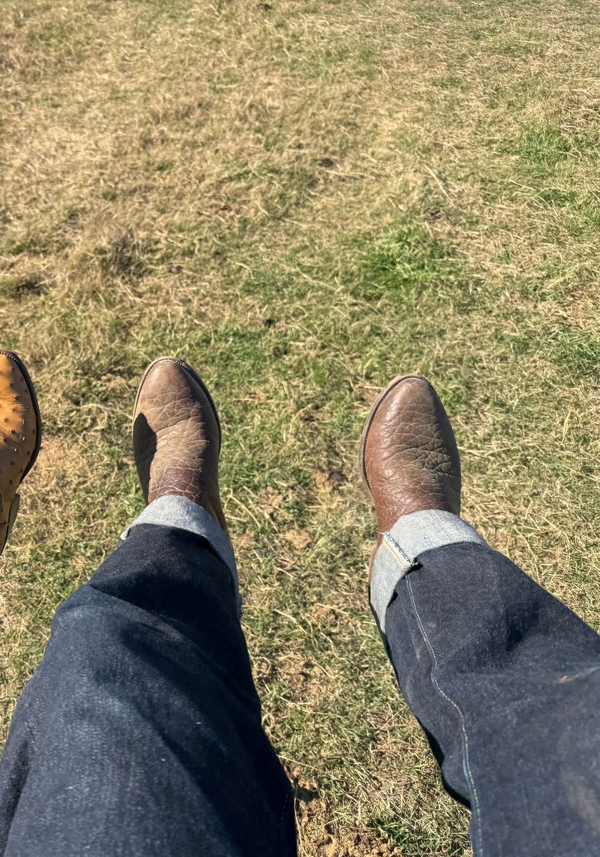 Photo by ludwigvan88 on January 3, 2026 of the Paul Bond Custom Model in Bull Shoulder.