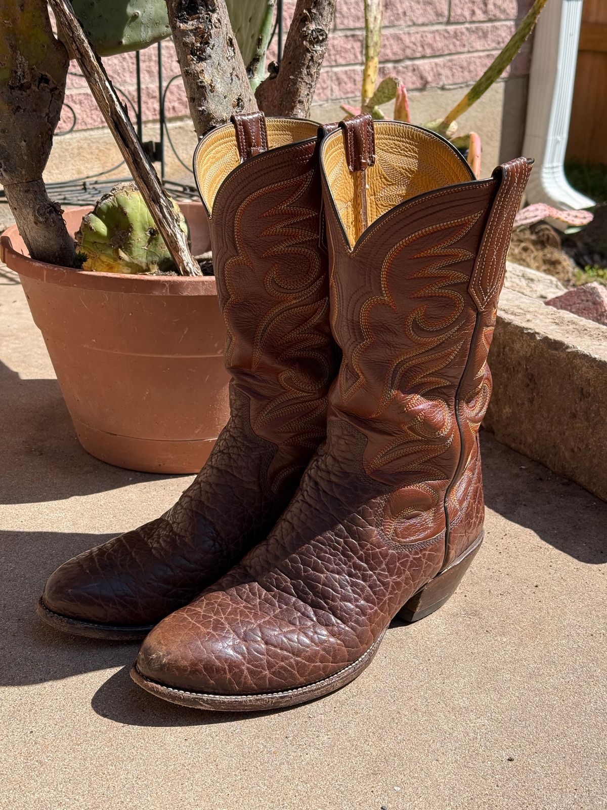 Photo by ludwigvan88 on March 1, 2026 of the Paul Bond Custom Model in Bull Shoulder.