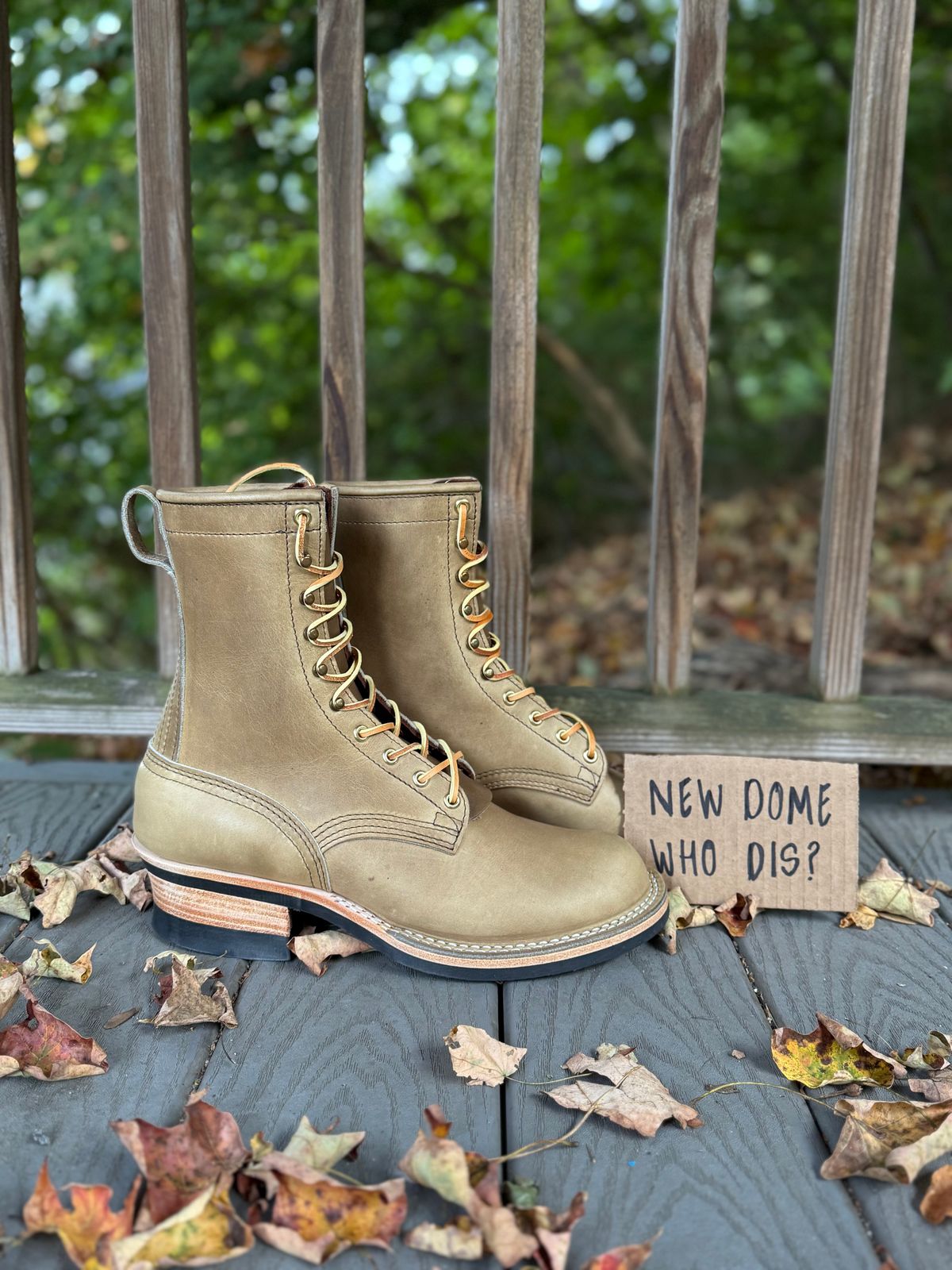 Photo by PublicVanilla7328 on October 1, 2025 of the NICKS BOOTS Ranger in Horweens Sage Chromepak.
