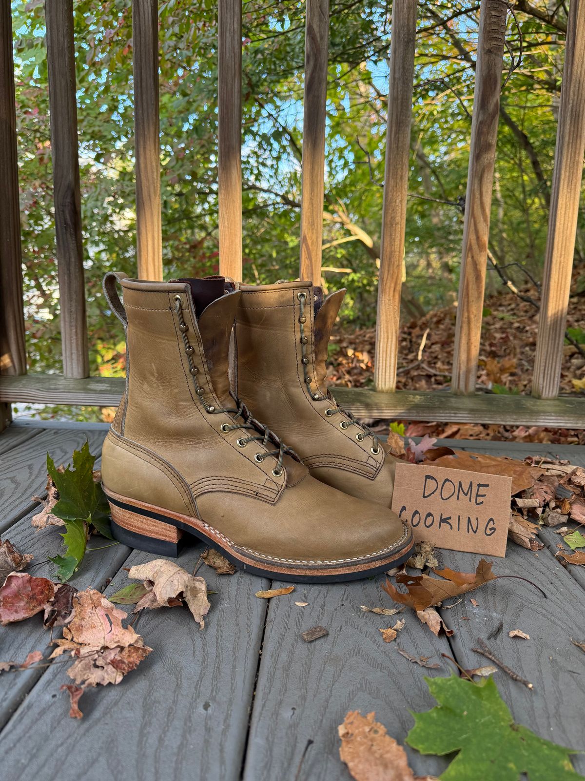 Photo by PublicVanilla7328 on November 1, 2025 of the NICKS BOOTS Ranger in Horweens Sage Chromepak.