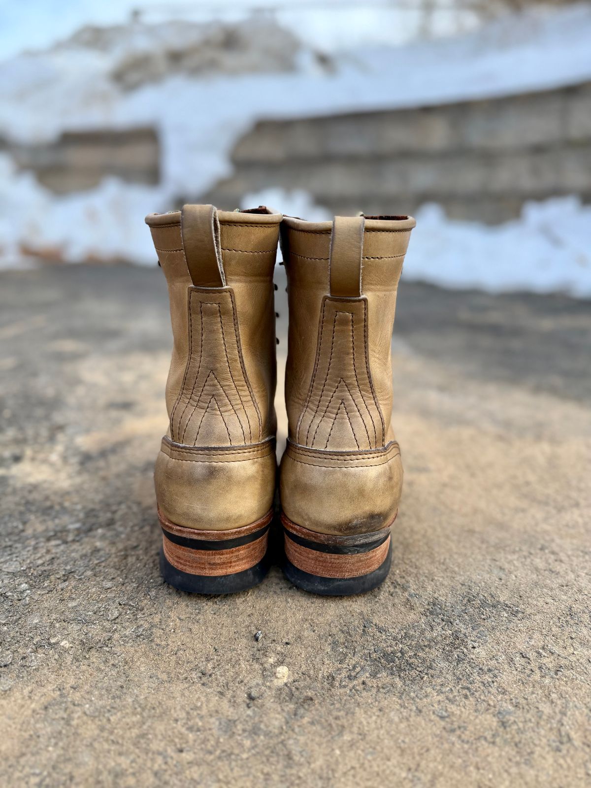 Photo by PublicVanilla7328 on February 1, 2026 of the NICKS BOOTS Ranger in Horweens Sage Chromepak.