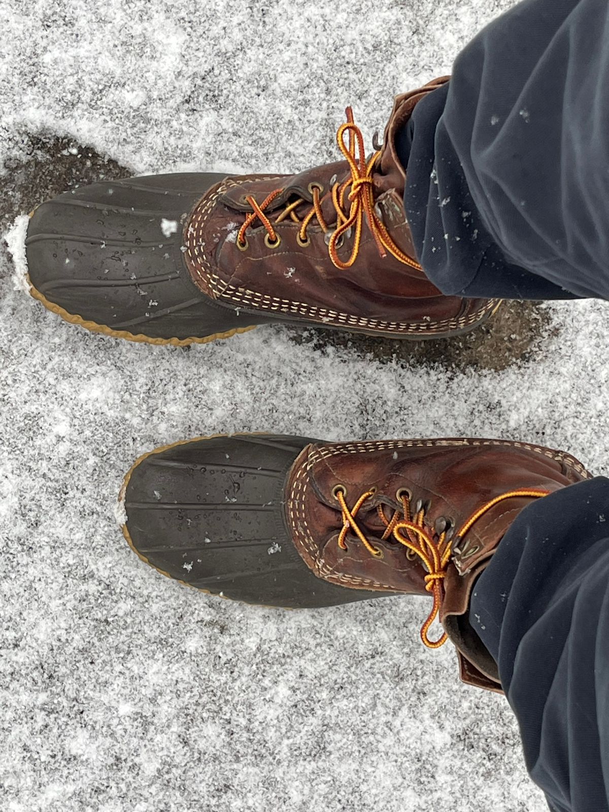 Photo by thorisalaptop on January 17, 2026 of the L.L.Bean Maine Hunting Shoe in Unknown Leather.