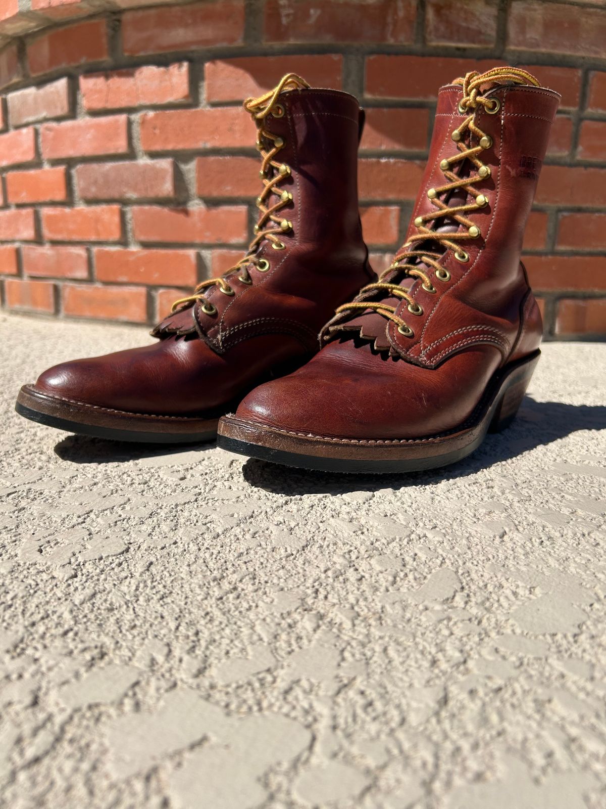 Photo by gsgarza on September 30, 2025 of the Drew’s Logger in Seidel Brown Domain.