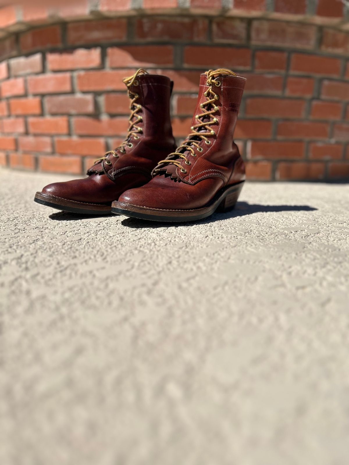 Photo by gsgarza on September 30, 2025 of the Drew’s Logger in Seidel Brown Domain.