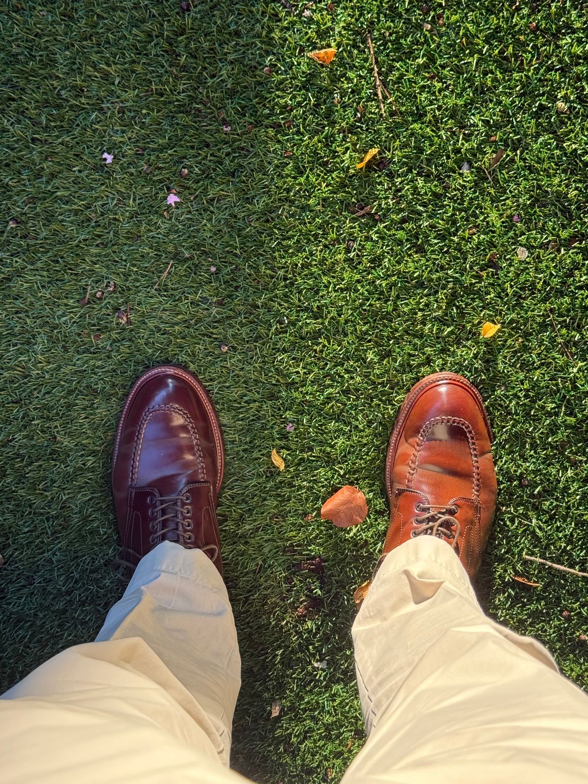 Photo by JHOUSTON on September 8, 2025 of the Alden Indy Boot in Horween Cigar Shell Cordovan.