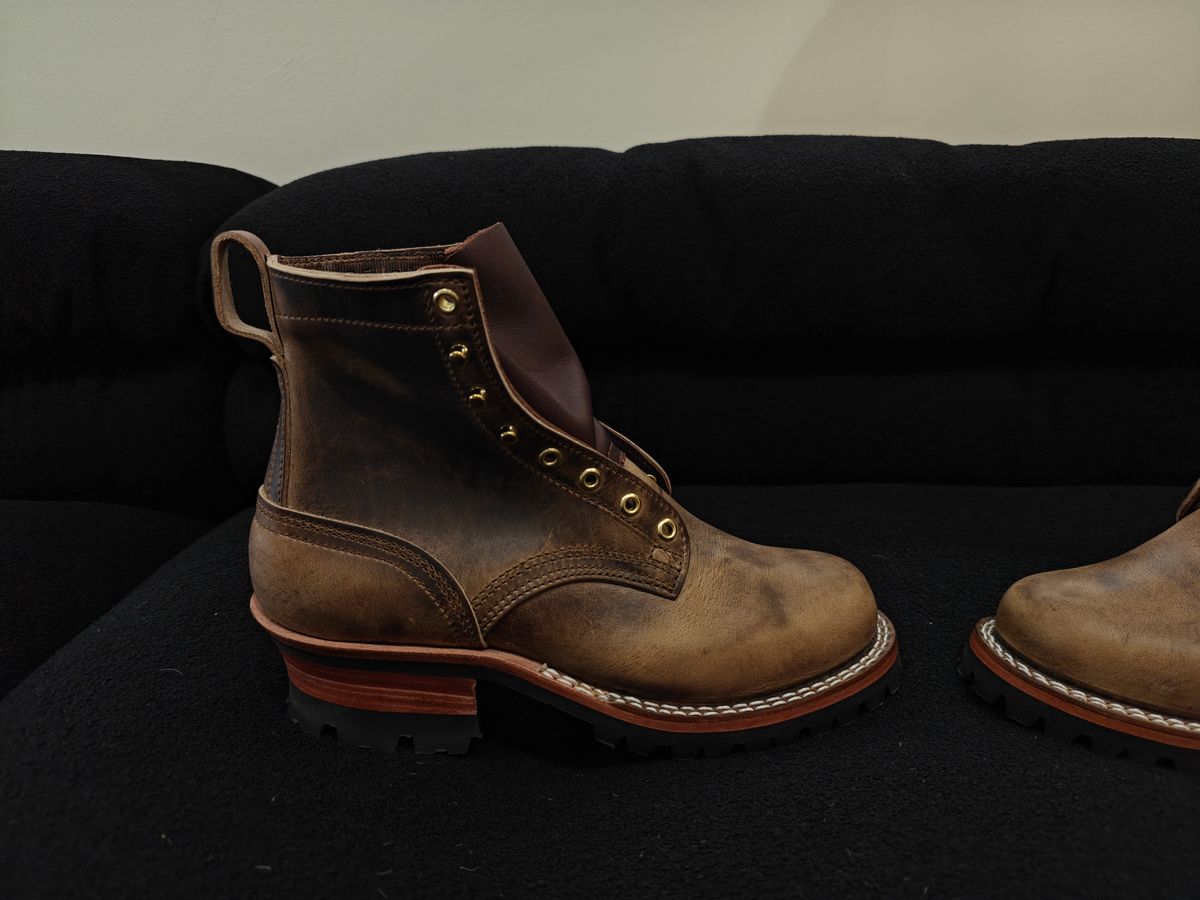 Photo by Luca24 on November 12, 2025 of the Nicks Urban Logger in Predator Natural.