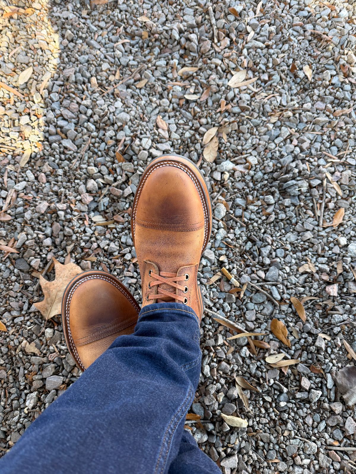 Photo by Wch_Chip on January 15, 2026 of the Parkhurst The Richmond in C.F. Stead Stripped Pine.