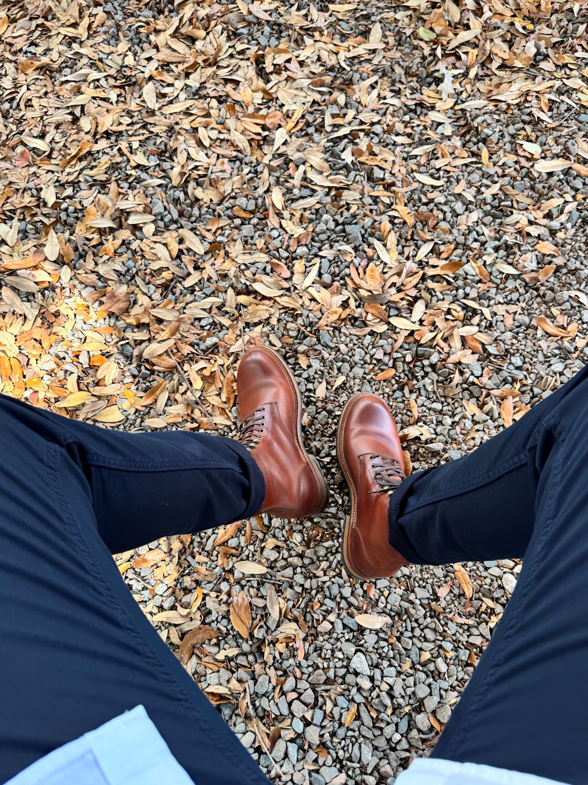 Photo by Wch_Chip on September 12, 2025 of the Parkhurst Allegany in Mahogany Full Grain.