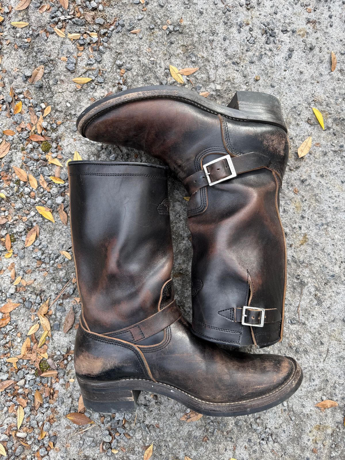 Photo by Bungholio91 on December 1, 2025 of the Zerrows Type One in Maryam Black Horsebutt.