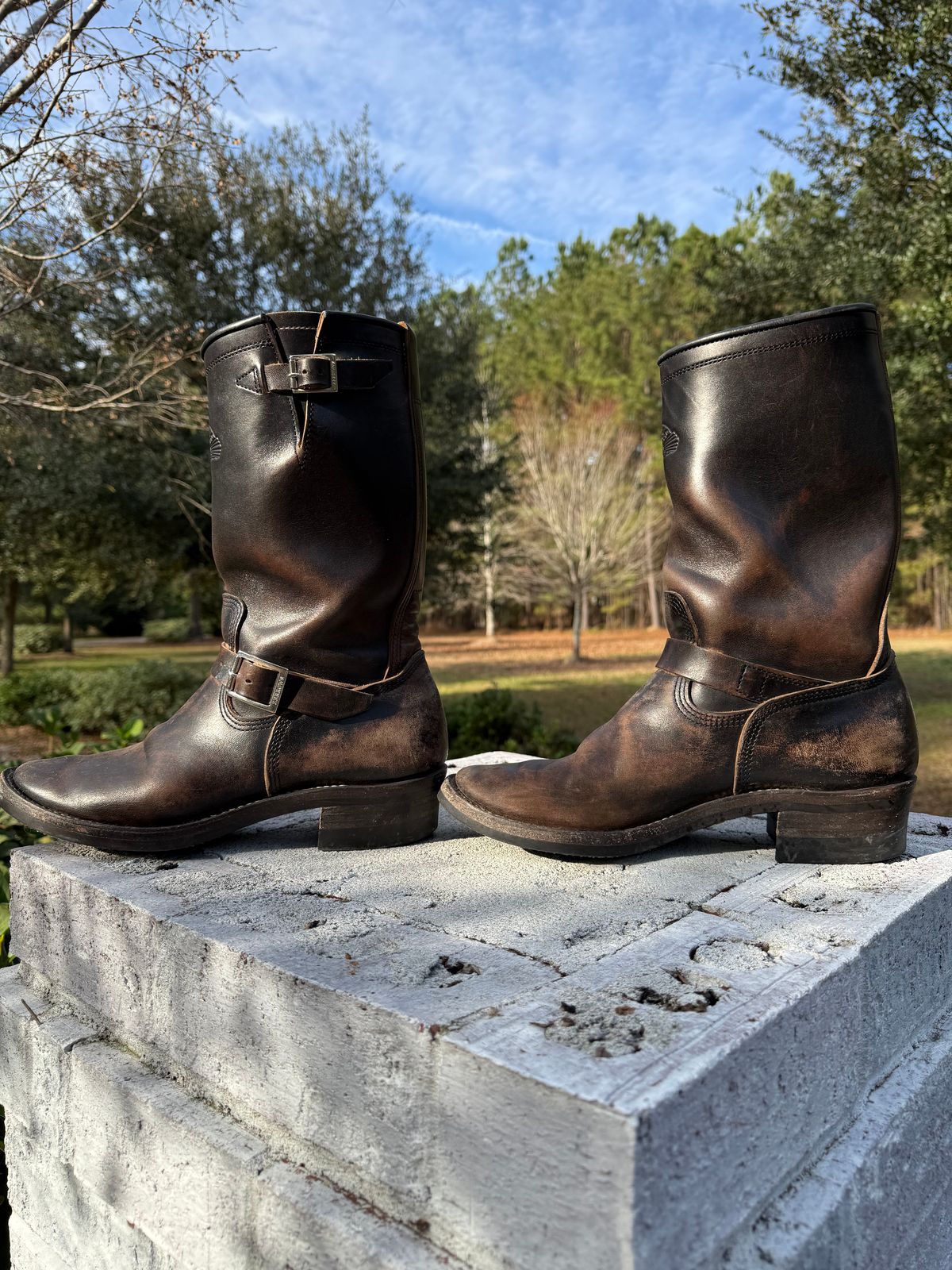 Photo by Bungholio91 on December 29, 2025 of the Zerrows Type One in Maryam Black Horsebutt.