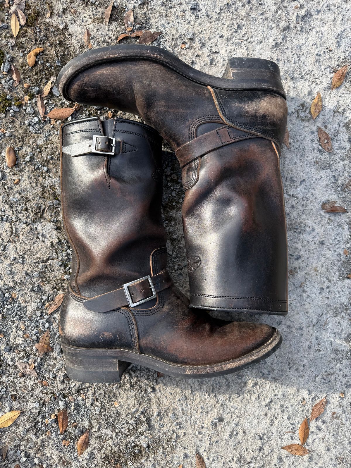 Photo by Bungholio91 on December 29, 2025 of the Zerrows Type One in Maryam Black Horsebutt.