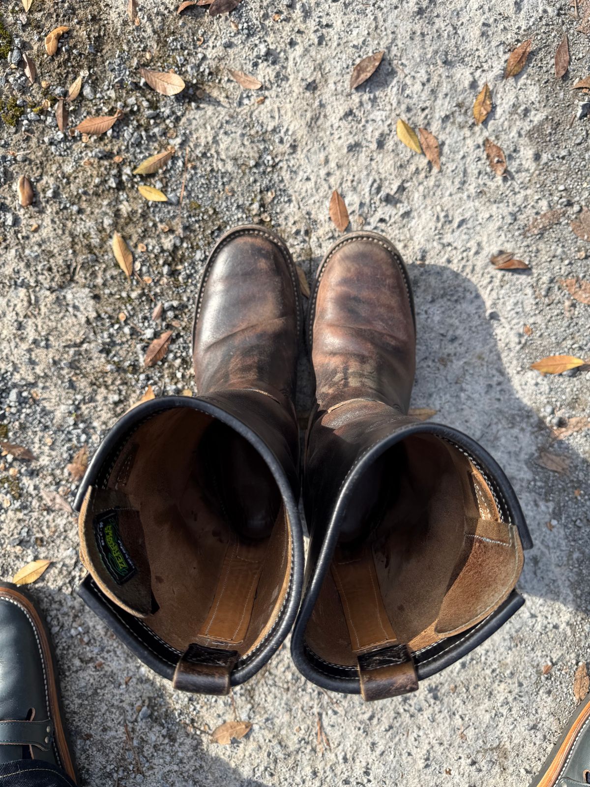 Photo by Bungholio91 on December 29, 2025 of the Zerrows Type One in Maryam Black Horsebutt.