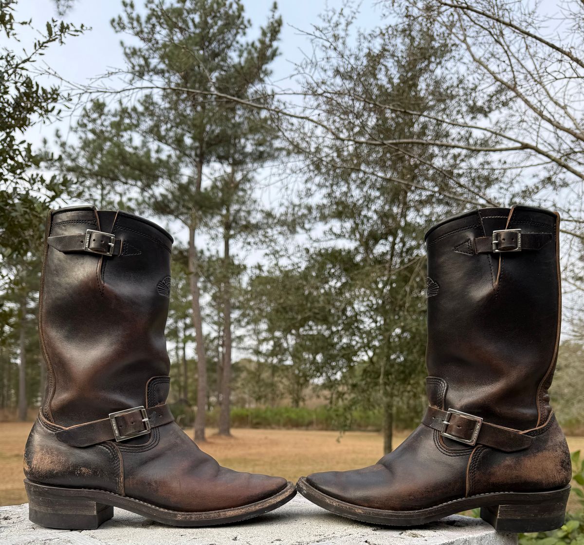 Photo by Bungholio91 on January 31, 2026 of the Zerrows Type One in Maryam Black Horsebutt.