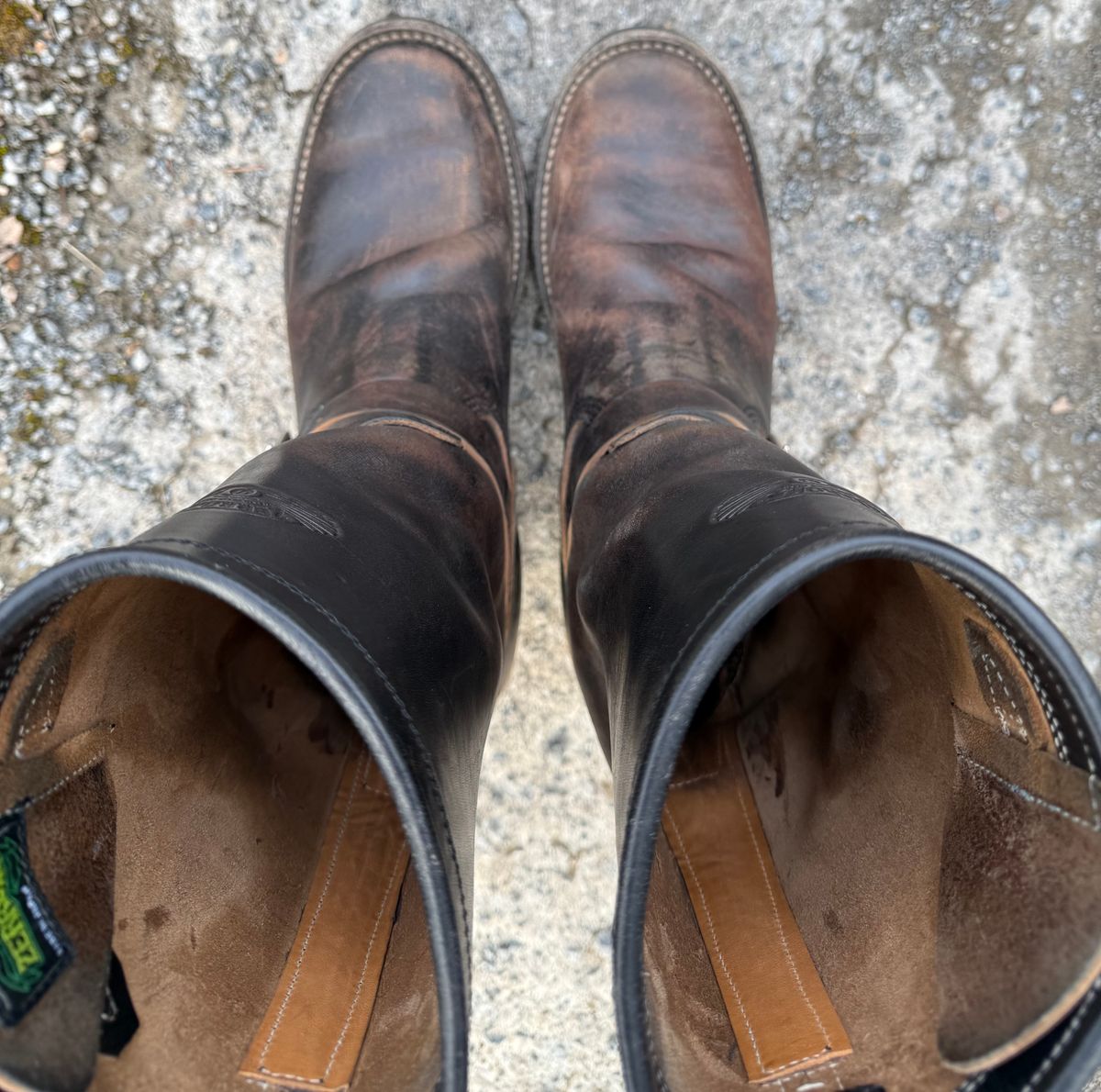 Photo by Bungholio91 on January 31, 2026 of the Zerrows Type One in Maryam Black Horsebutt.