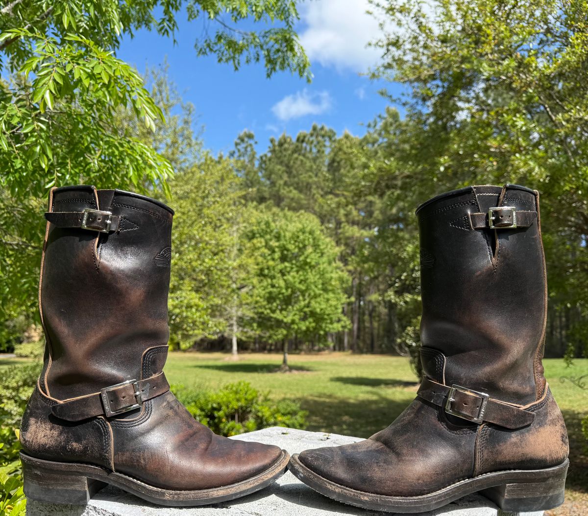 Photo by Bungholio91 on April 2, 2026 of the Zerrows Type One in Maryam Black Horsebutt.