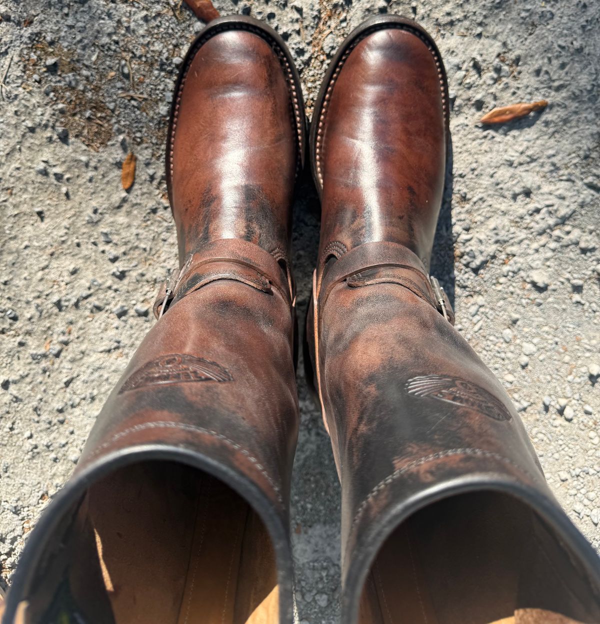 Photo by Bungholio91 on April 4, 2026 of the Zerrows Type One in Maryam Black Horsebutt.