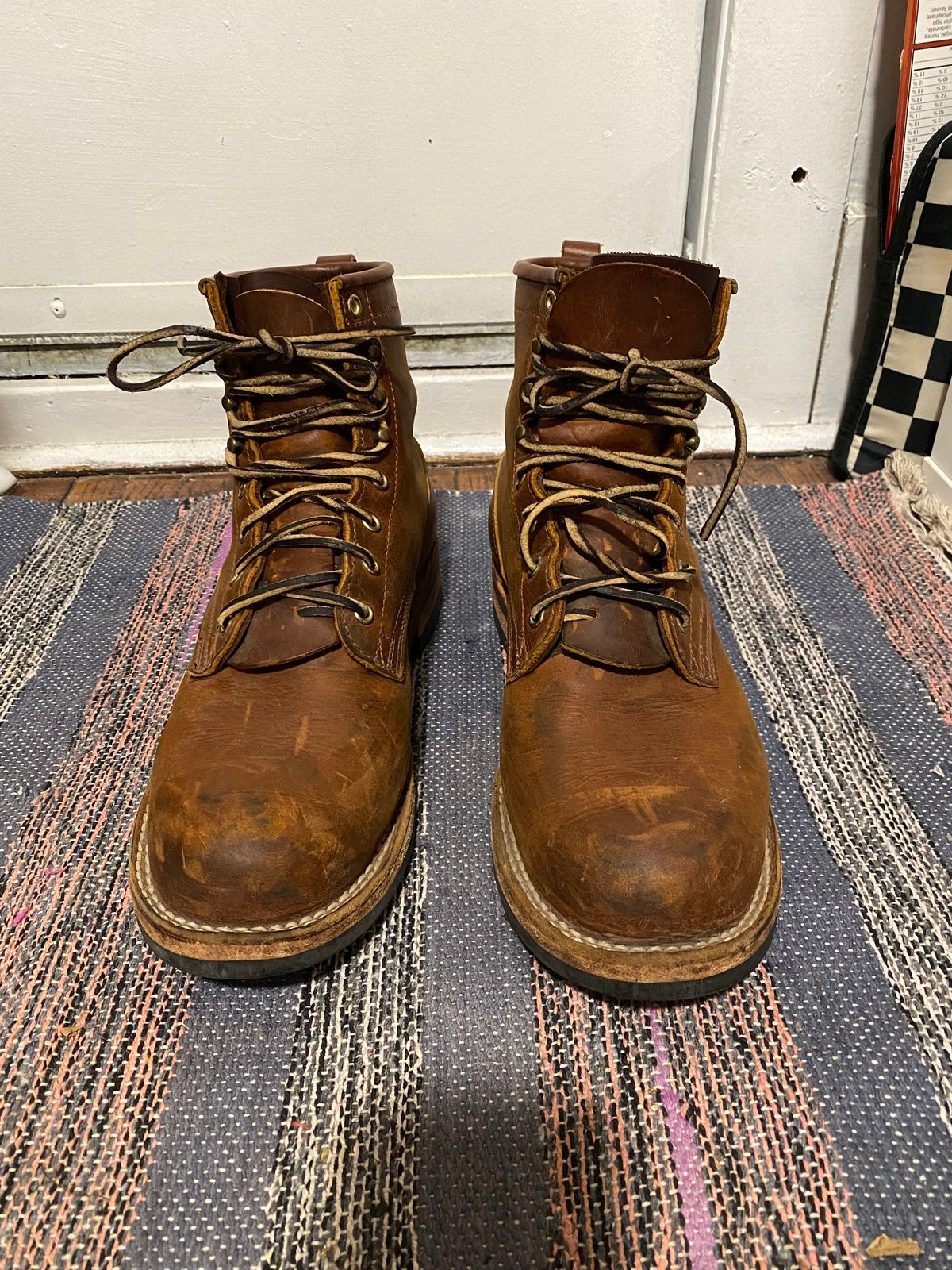 Photo by michaelkarant on October 27, 2025 of the Nicks Falcon in Spokane Honey.