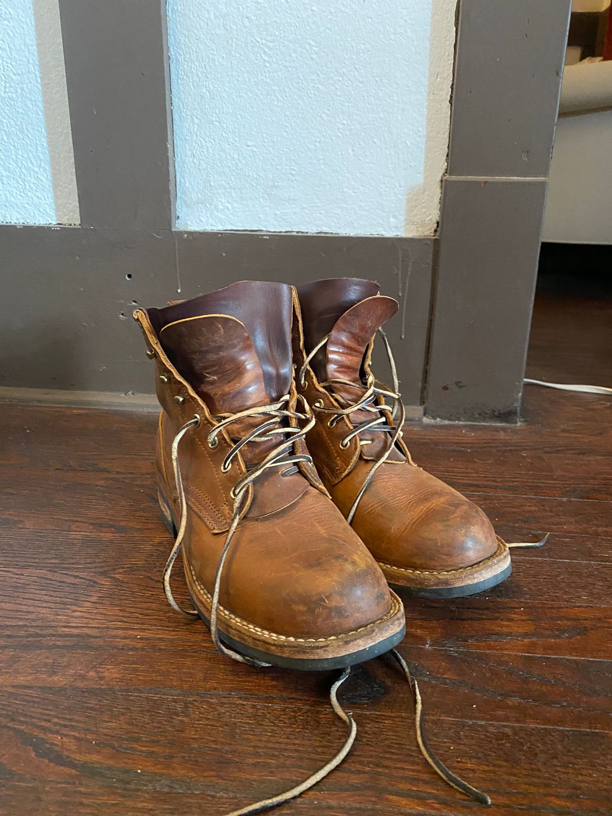 Photo by michaelkarant on November 18, 2025 of the Nicks Falcon in Spokane Honey.