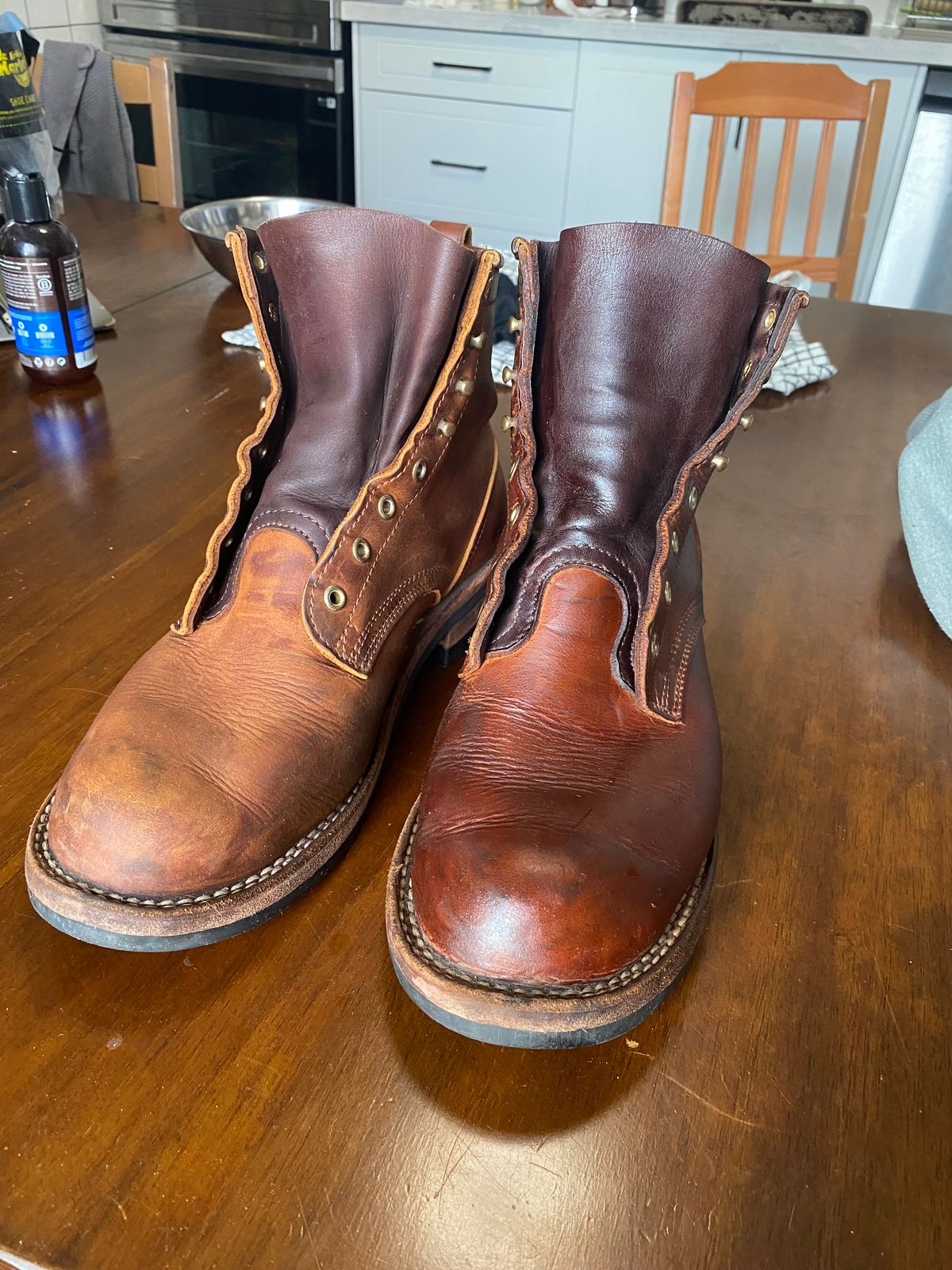 Photo by michaelkarant on January 8, 2026 of the Nicks Falcon in Spokane Honey.