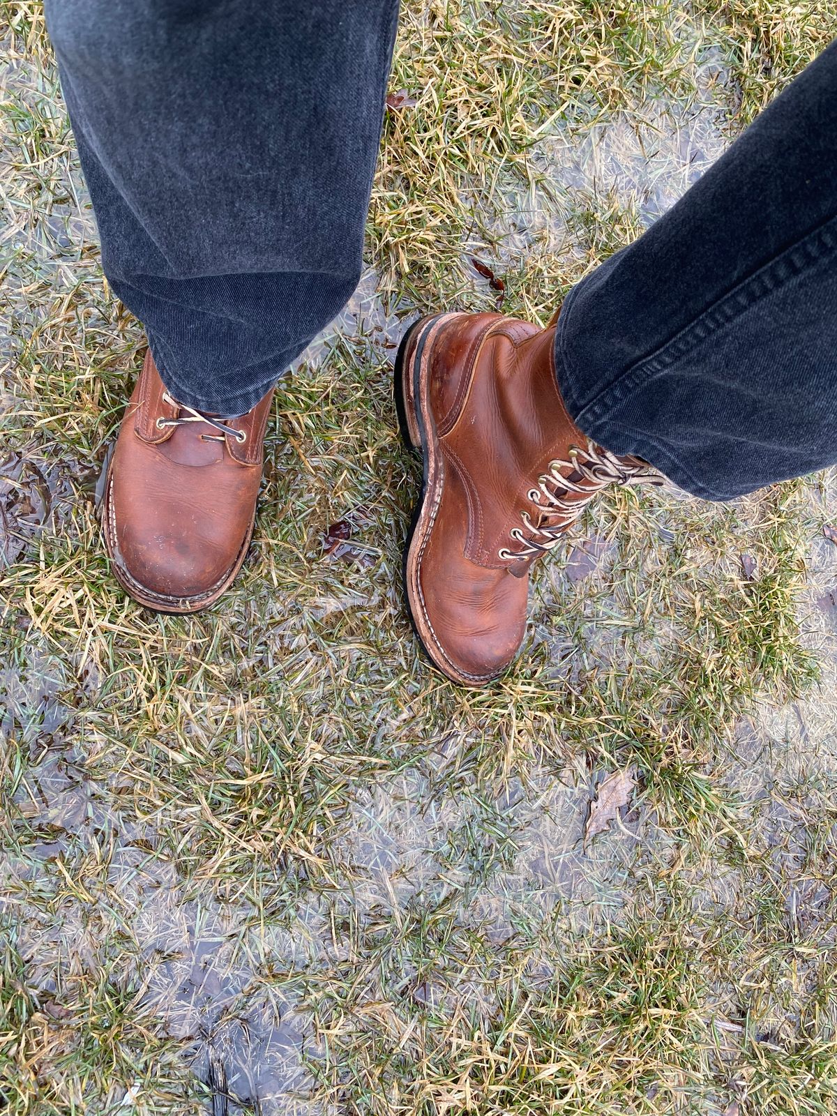 Photo by michaelkarant on March 22, 2026 of the Nicks Falcon in Spokane Honey.