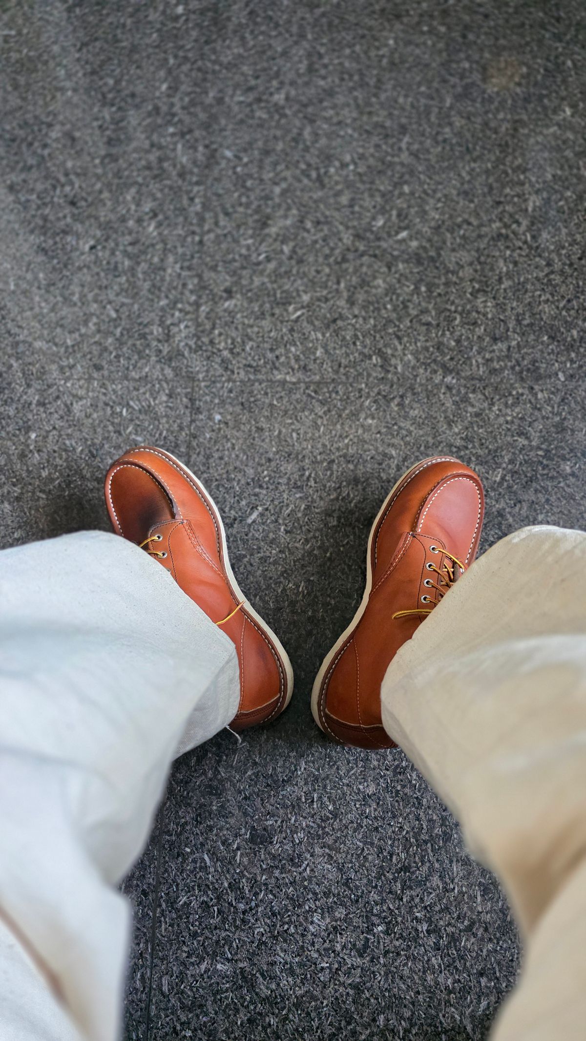 Photo by CarloSyempre on April 6, 2026 of the Red Wing 6-Inch Classic Moc in S.B. Foot Oro Legacy.
