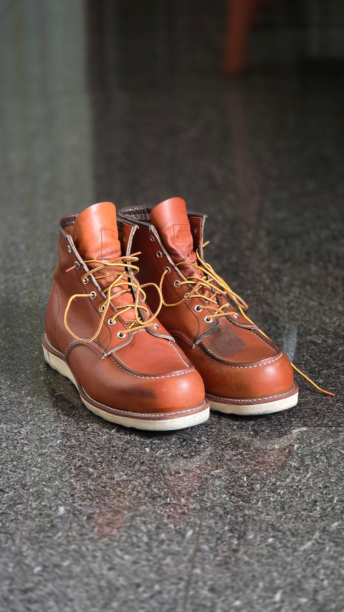 Photo by CarloSyempre on April 19, 2026 of the Red Wing 6-Inch Classic Moc in S.B. Foot Oro Legacy.
