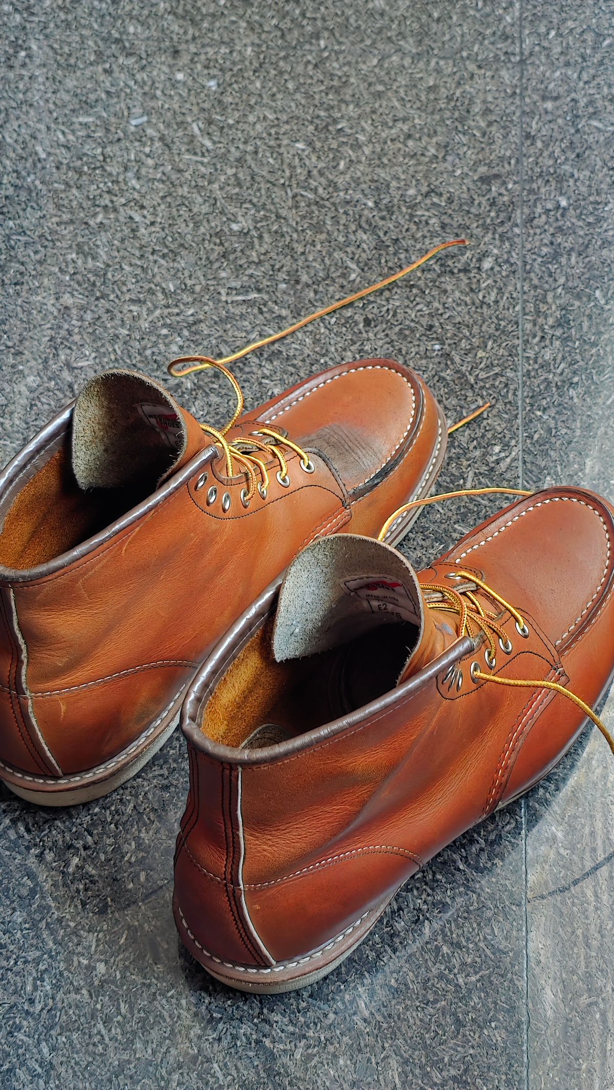 Photo by CarloSyempre on May 29, 2026 of the Red Wing 6-Inch Classic Moc in S.B. Foot Oro Legacy.