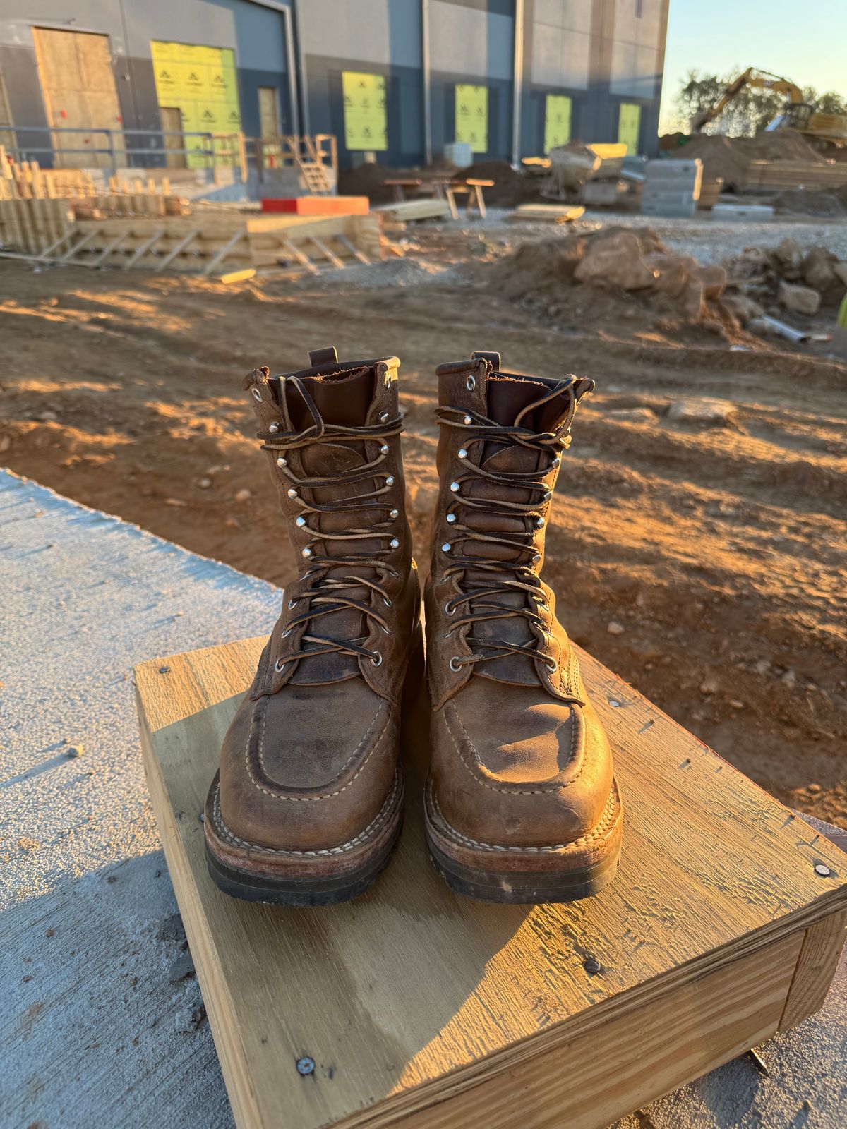 Photo by almazan97 on November 5, 2025 of the Nicks DomePro in Predator Natural.