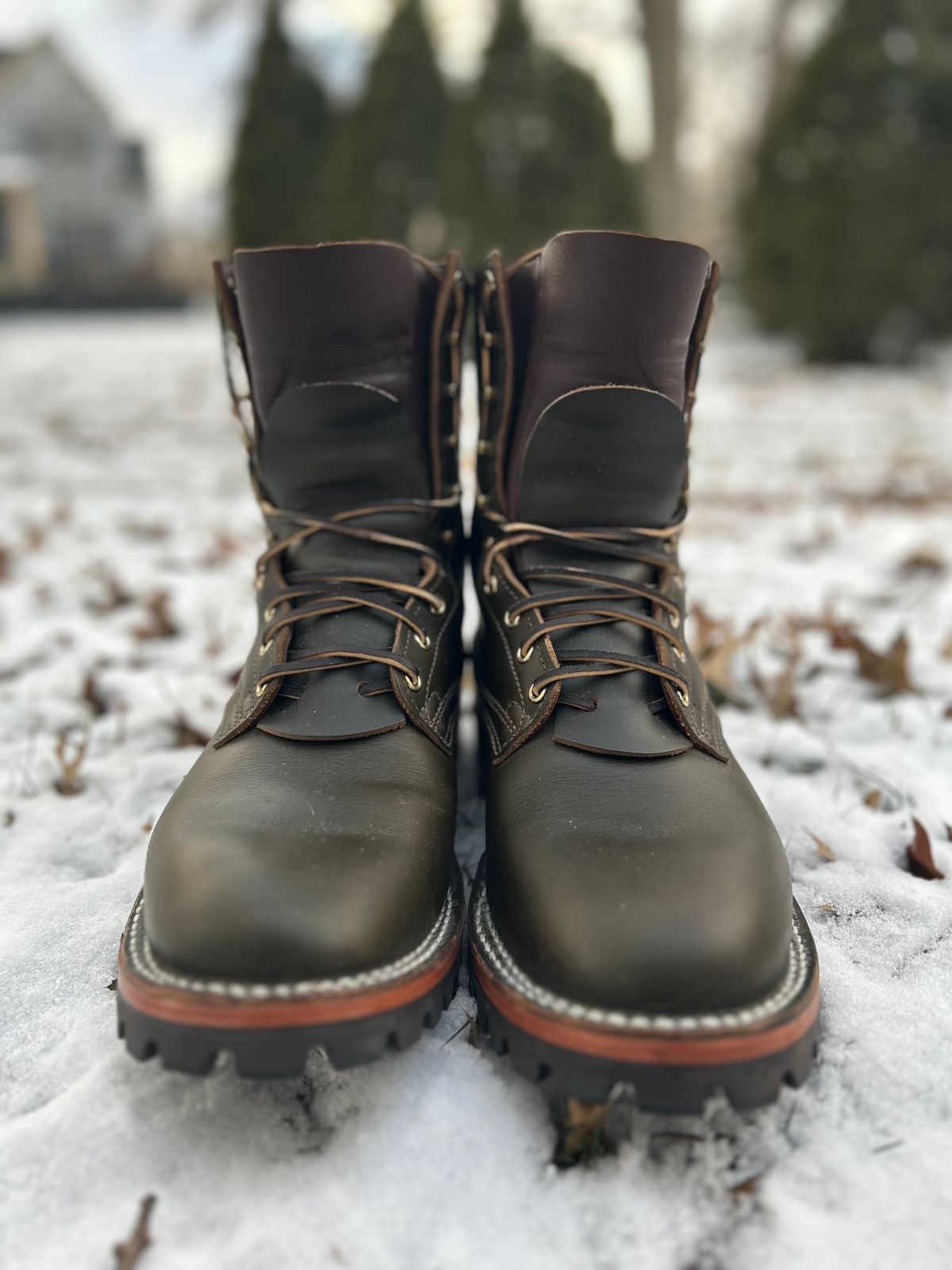 Photo by Ankle333 on January 6, 2025 of the Nicks Overlander in Shackleton Greener Pastures.