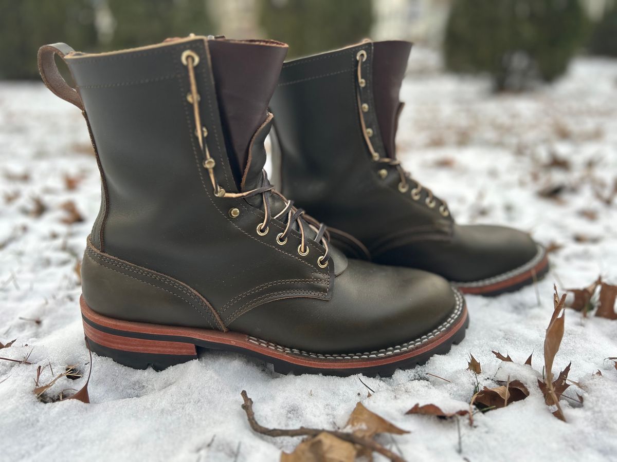 Photo by Ankle333 on January 6, 2025 of the Nicks Overlander in Shackleton Greener Pastures.