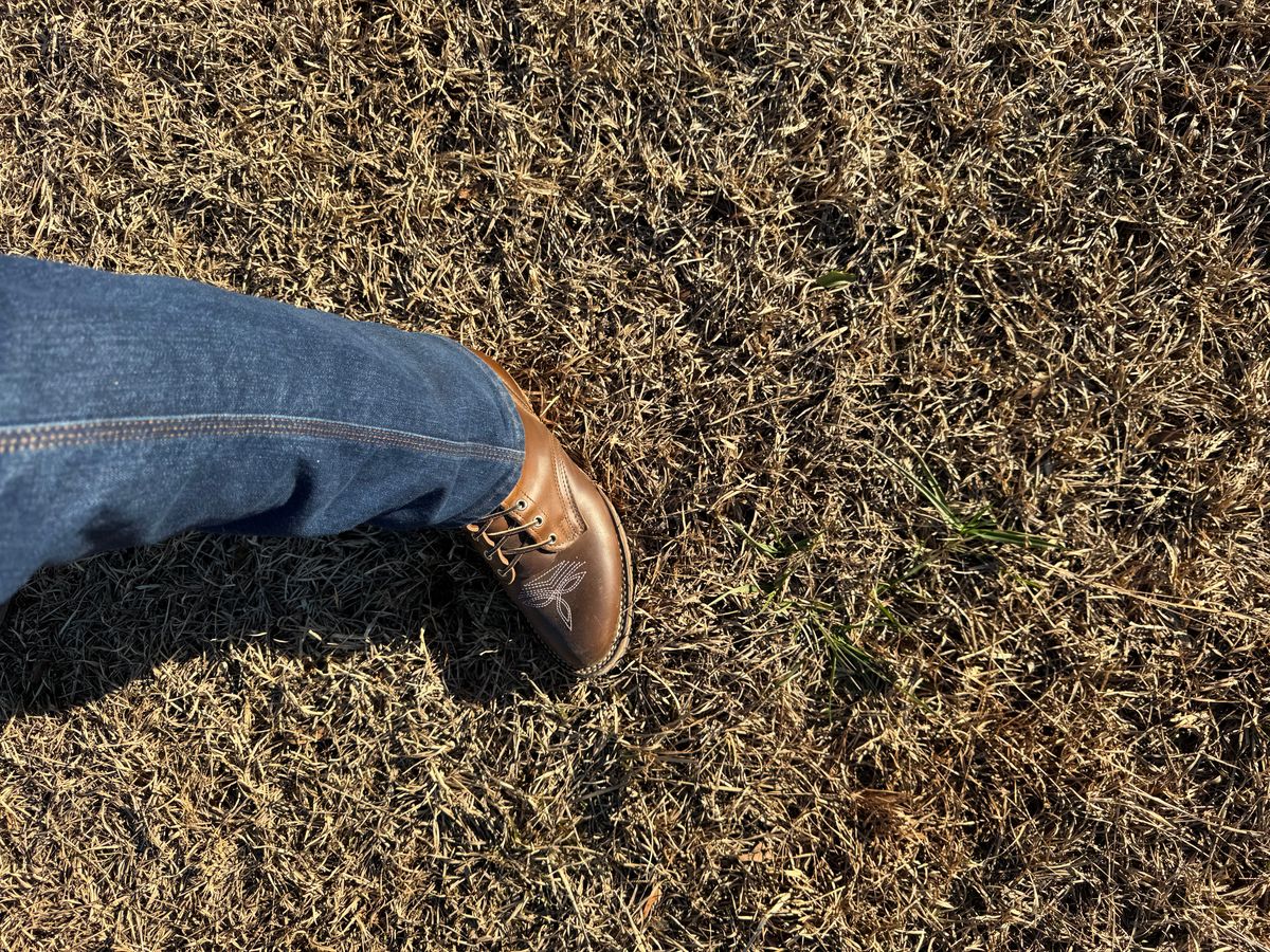 Photo by bearjohn on January 8, 2025 of the Nicks Packer in Horween British Tan Chromexcel.