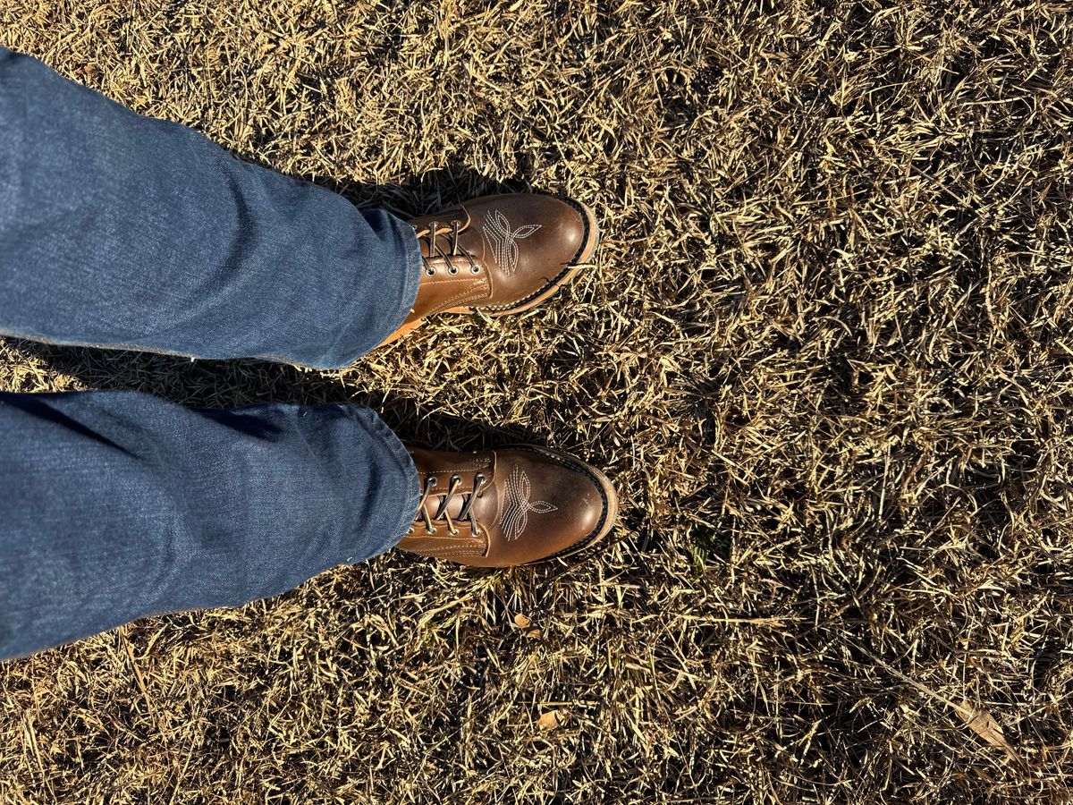 Photo by bearjohn on January 8, 2025 of the Nicks Packer in Horween British Tan Chromexcel.