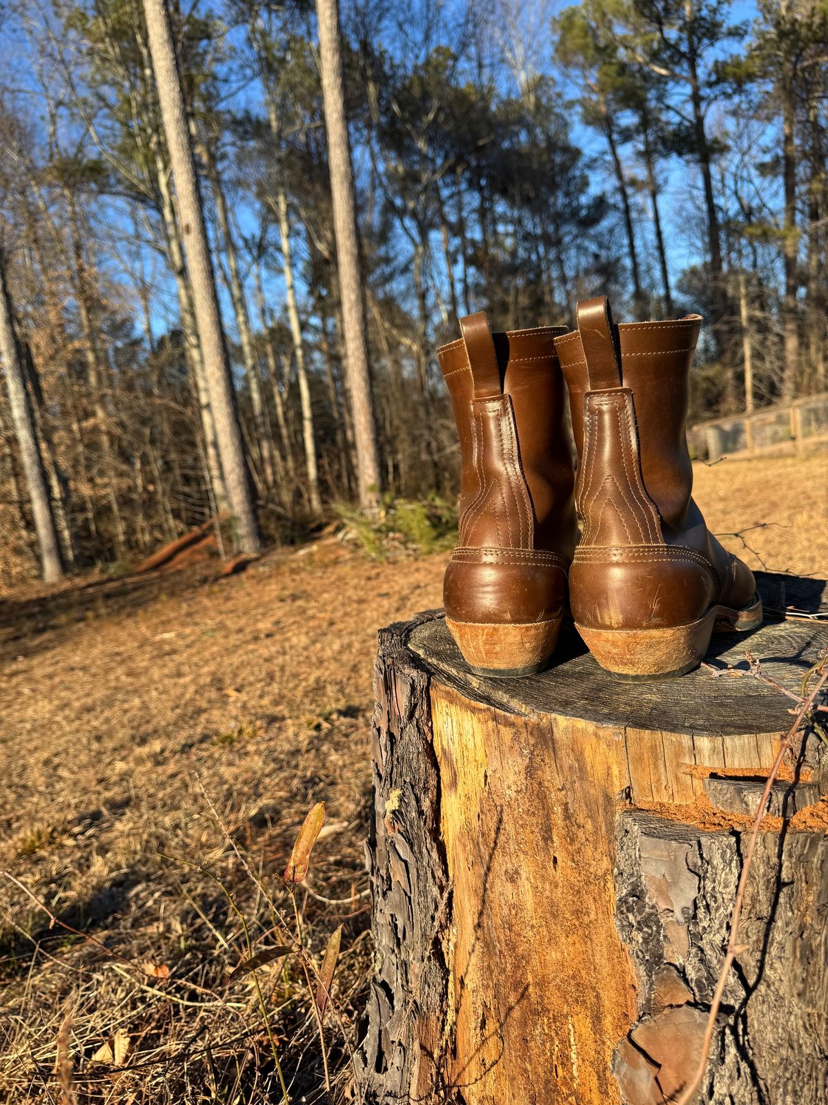 Photo by bearjohn on January 16, 2025 of the Nicks Packer in Horween British Tan Chromexcel.