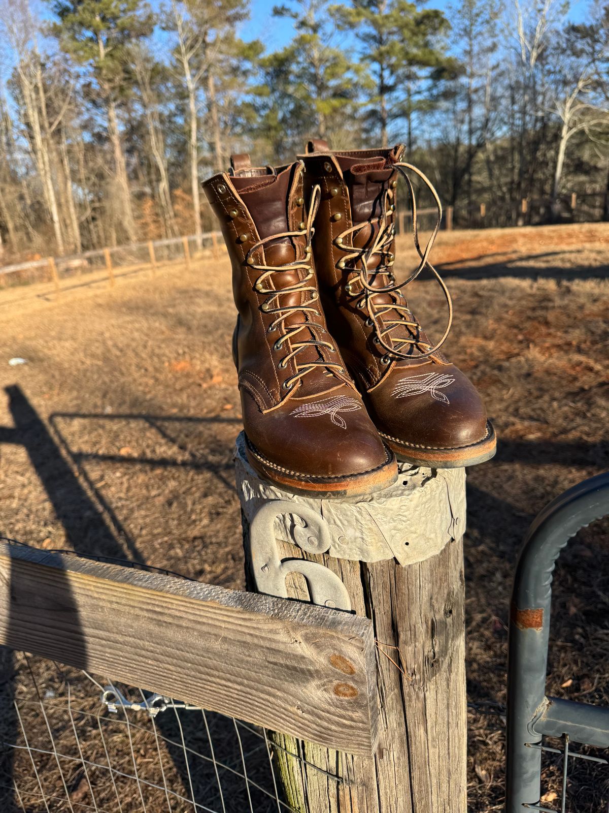 Photo by bearjohn on January 16, 2025 of the Nicks Packer in Horween British Tan Chromexcel.