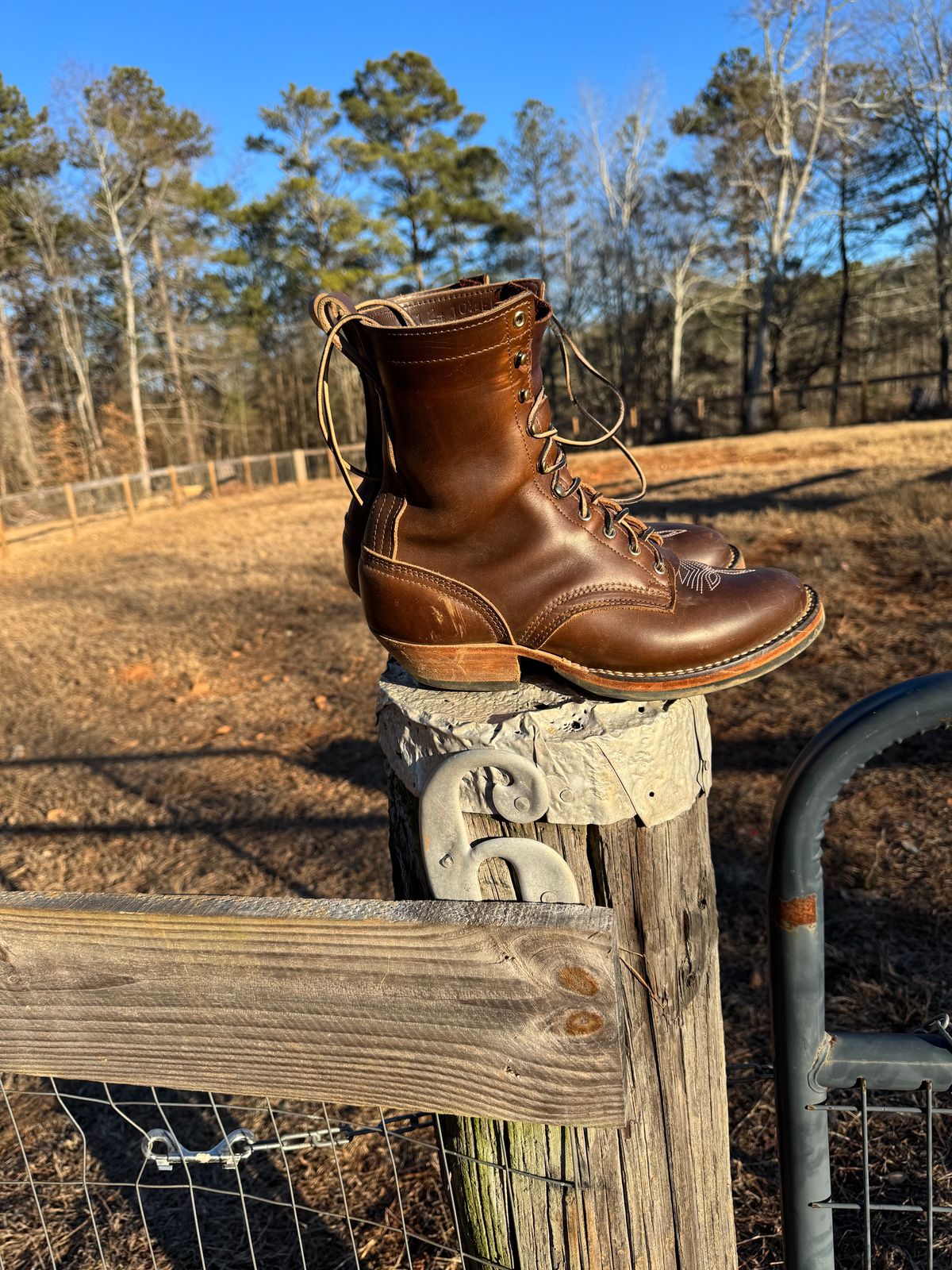 Photo by bearjohn on January 16, 2025 of the Nicks Packer in Horween British Tan Chromexcel.