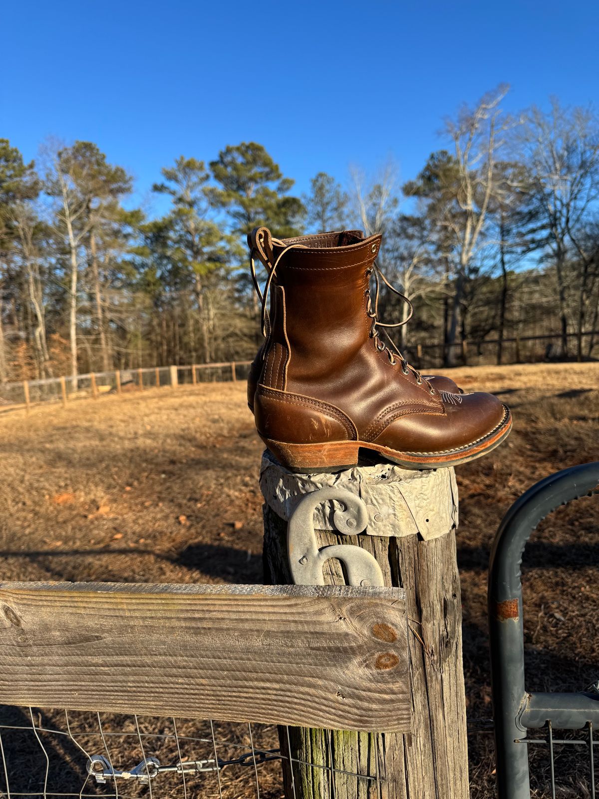Photo by bearjohn on January 16, 2025 of the Nicks Packer in Horween British Tan Chromexcel.