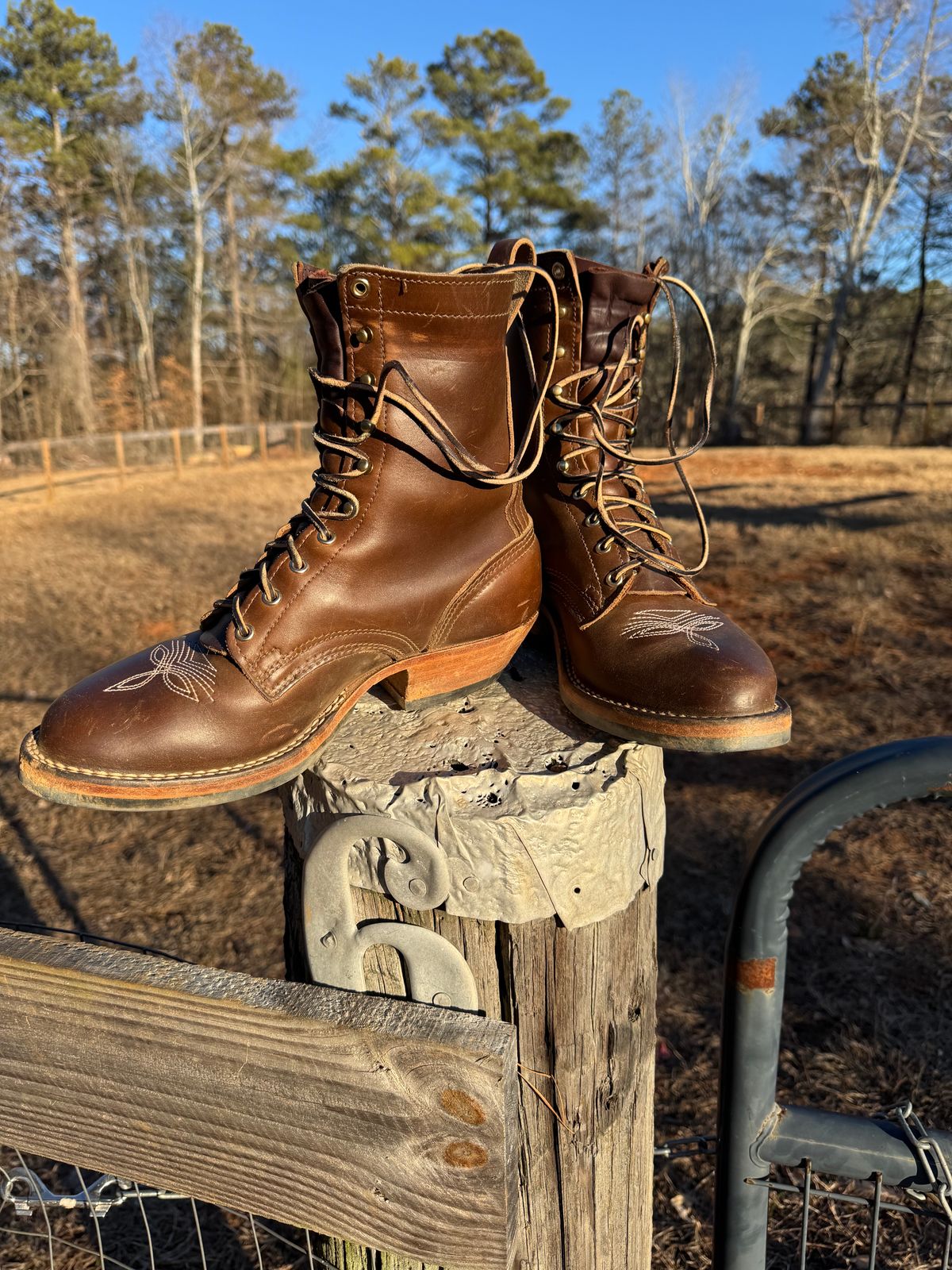 Photo by bearjohn on January 16, 2025 of the Nicks Packer in Horween British Tan Chromexcel.