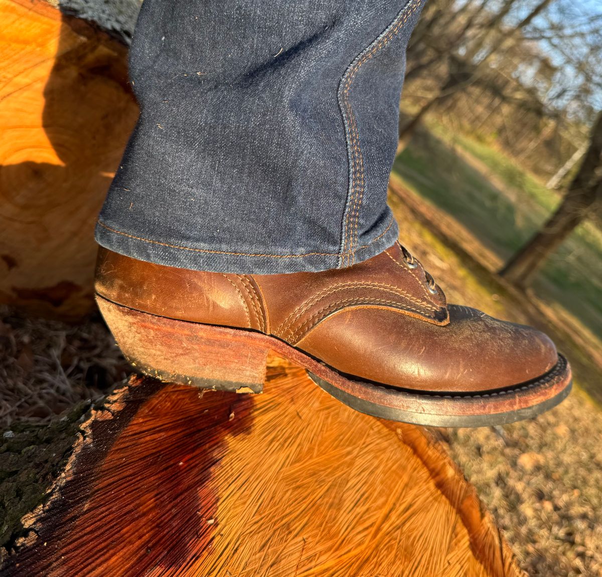 Photo by bearjohn on March 13, 2026 of the Nicks Packer in Horween British Tan Chromexcel.
