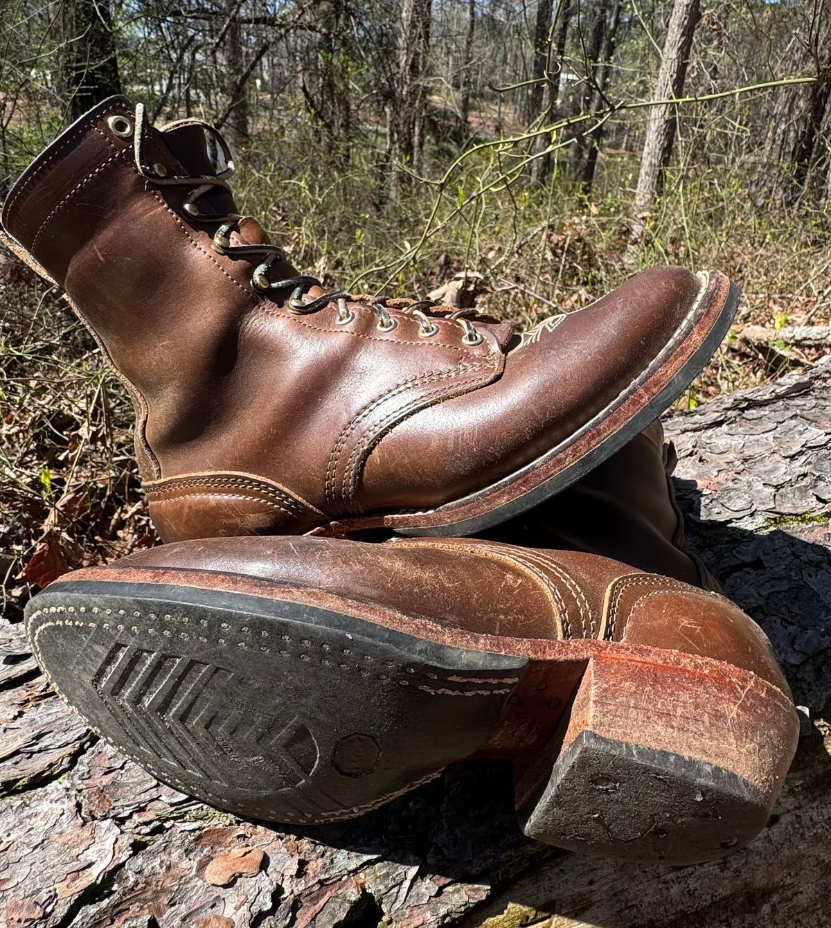 Photo by bearjohn on March 17, 2026 of the Nicks Packer in Horween British Tan Chromexcel.