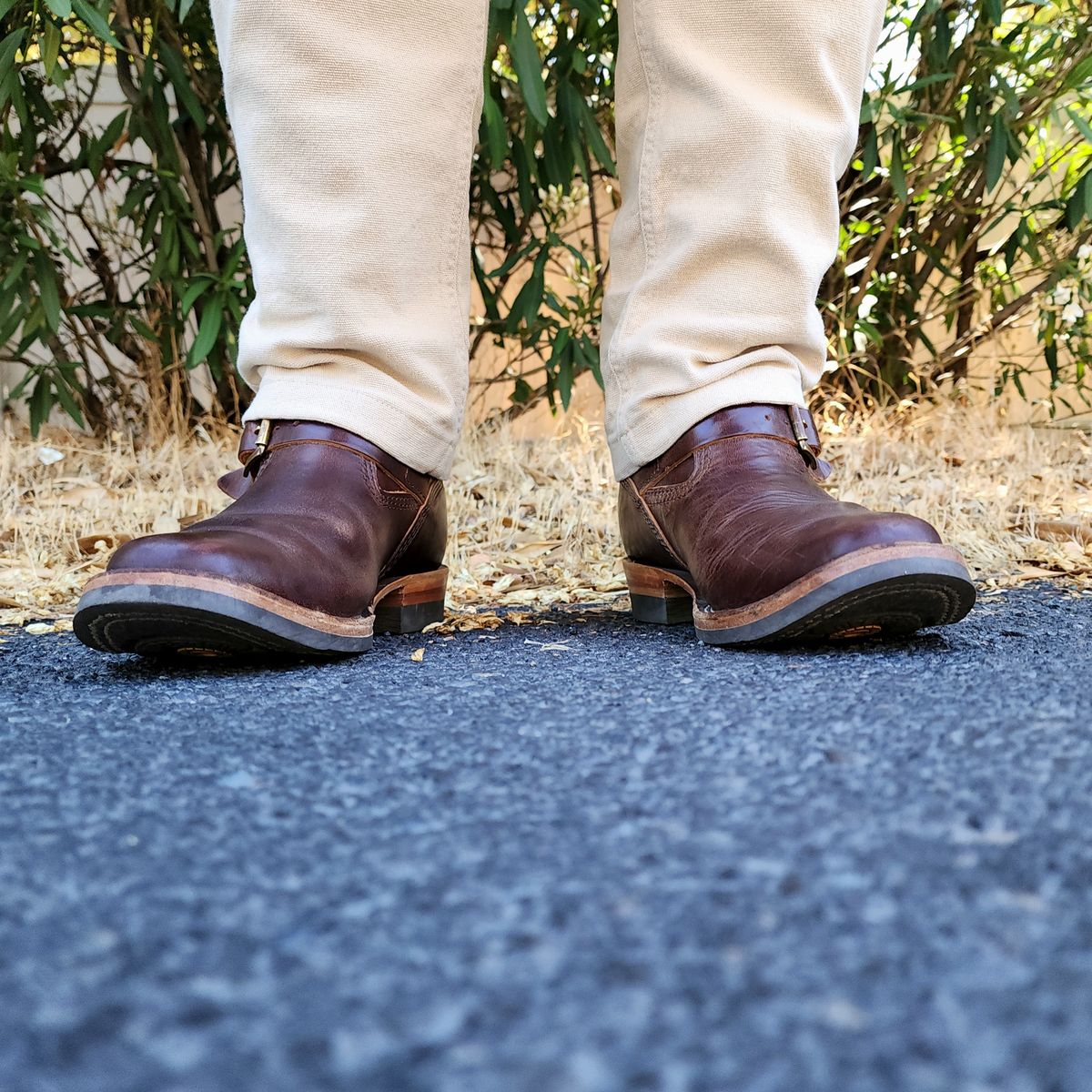Photo by Janbiya on July 4, 2025 of the Wesco Mister Lou in Brown Horsehide.