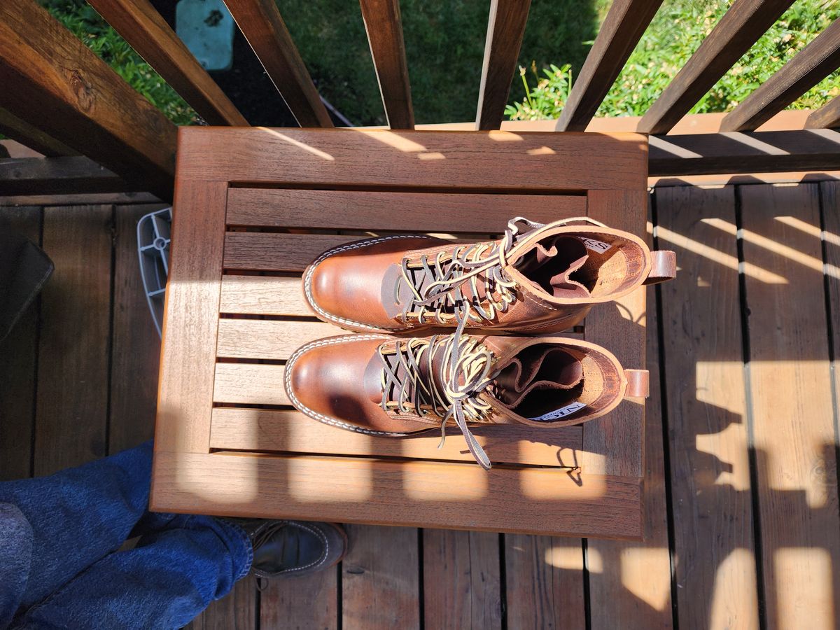 Photo by Janbiya on May 15, 2025 of the Nicks Urban Logger in Italian Brown Cypress.