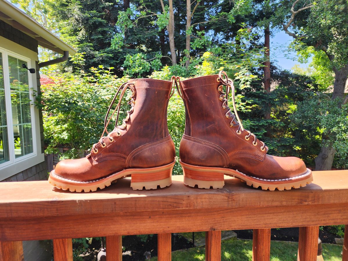 Photo by Janbiya on May 15, 2025 of the Nicks Urban Logger in Italian Brown Cypress.