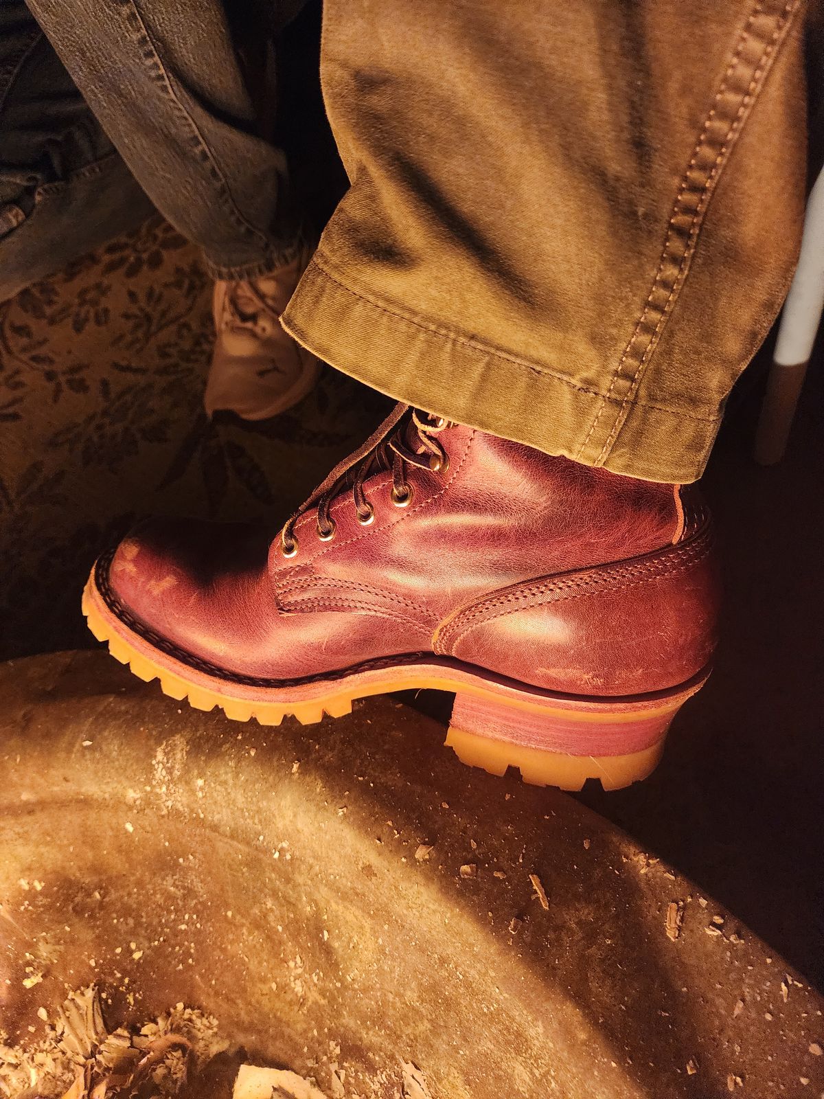 Photo by Janbiya on January 25, 2026 of the Nicks Urban Logger in Italian Brown Cypress.