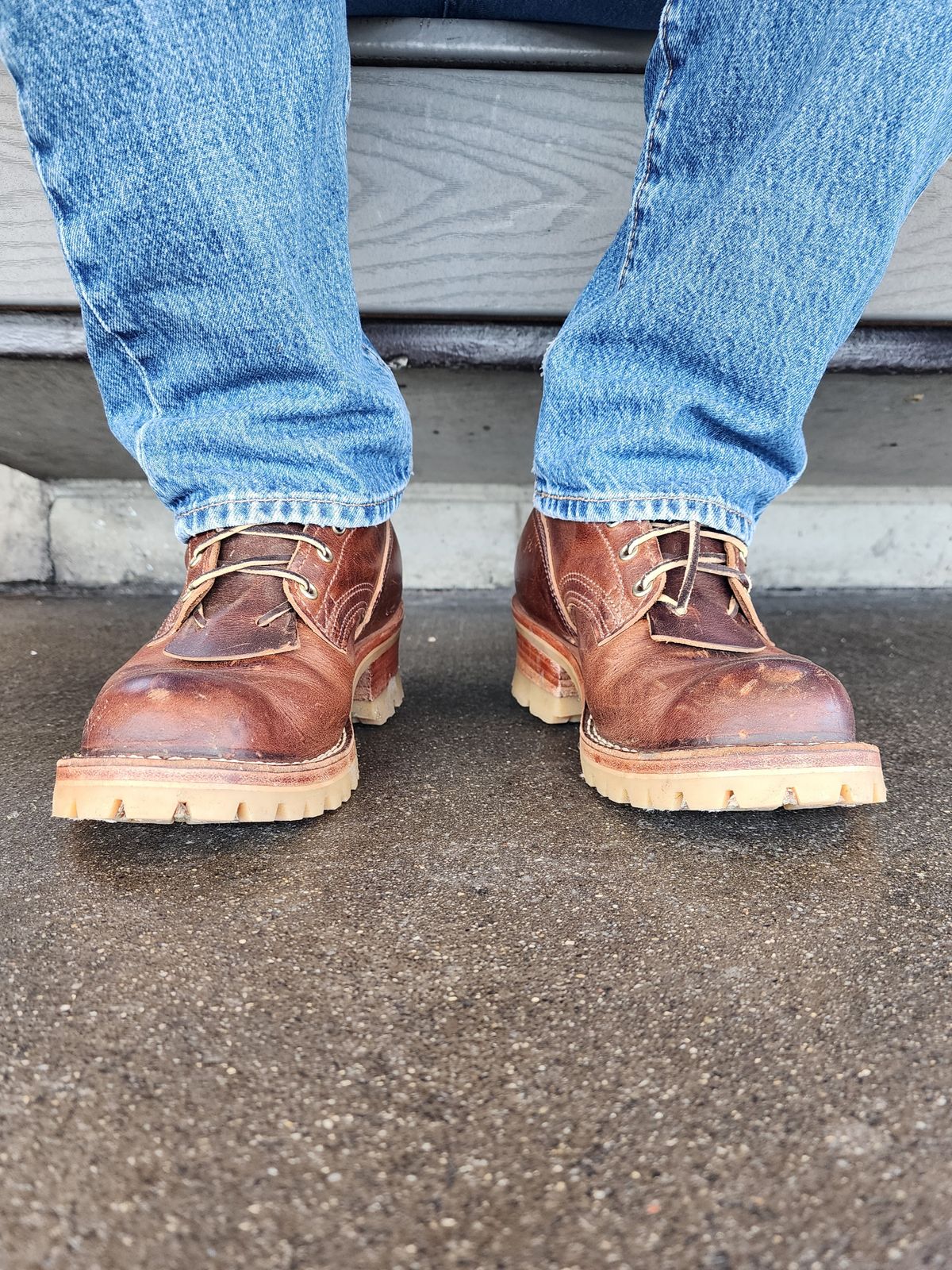 Photo by Janbiya on February 22, 2026 of the Nicks Urban Logger in Italian Brown Cypress.