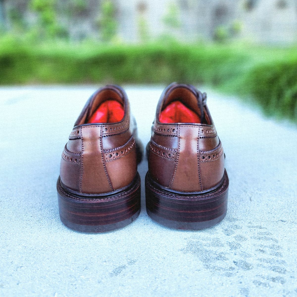 Photo by Janbiya on October 5, 2025 of the Carmina Long Wing Blucher Shoes 532 in Horween Armagnac Shell Cordovan.