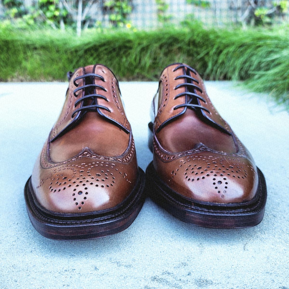 Photo by Janbiya on October 5, 2025 of the Carmina Long Wing Blucher Shoes 532 in Horween Armagnac Shell Cordovan.