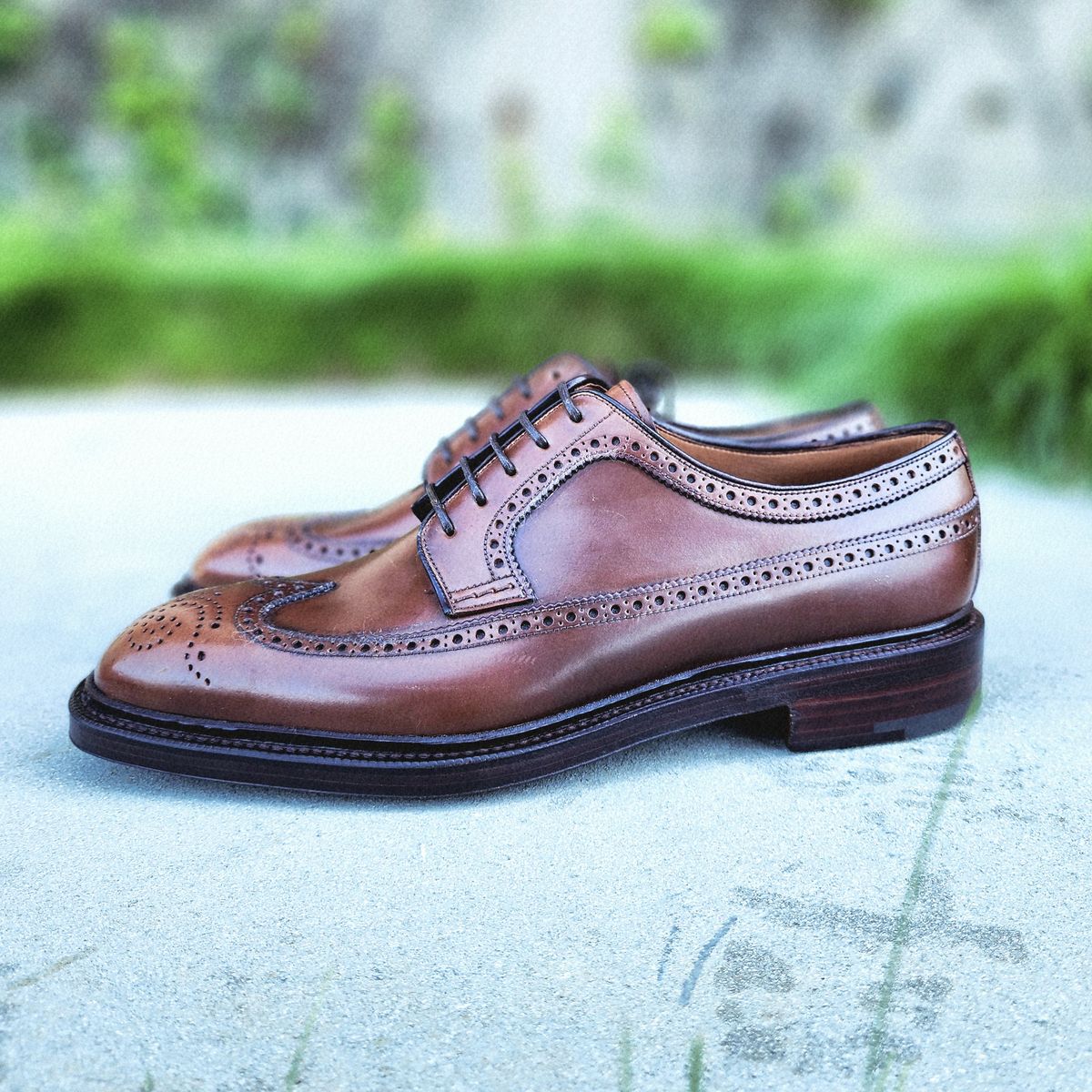 Photo by Janbiya on October 5, 2025 of the Carmina Long Wing Blucher Shoes 532 in Horween Armagnac Shell Cordovan.